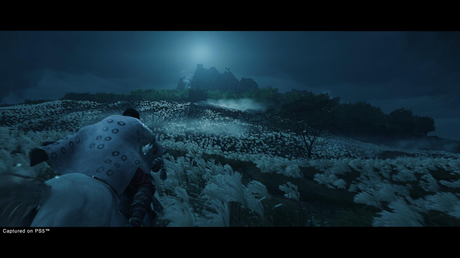 Produktbild Ghost of Tsushima (Director's Cut) 9 von 12