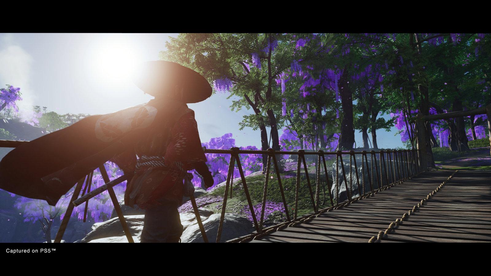 Produktbild Ghost of Tsushima (Director's Cut) 11 von 12