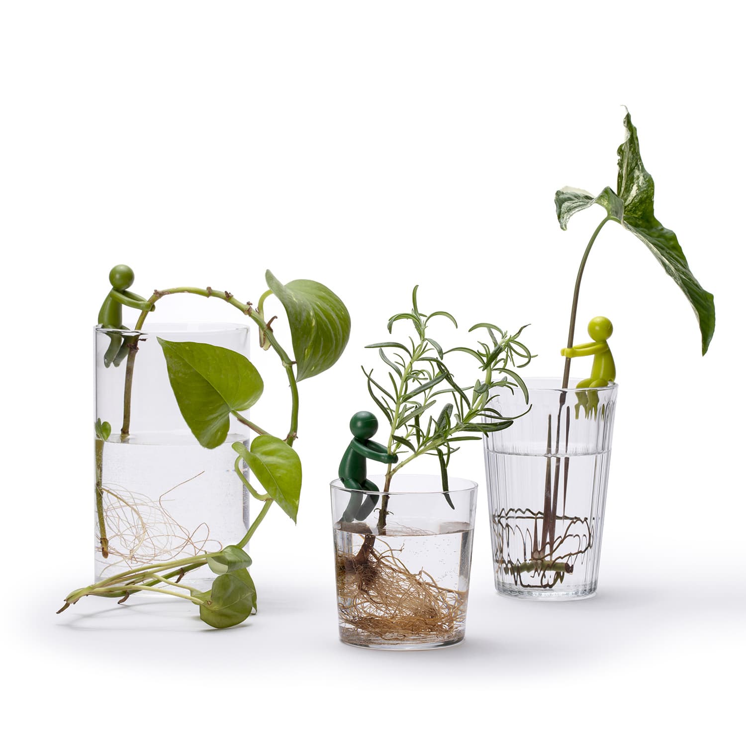 Produktbild Peleg Anzuchthelfer Leafriend 3er Set 2 von 5