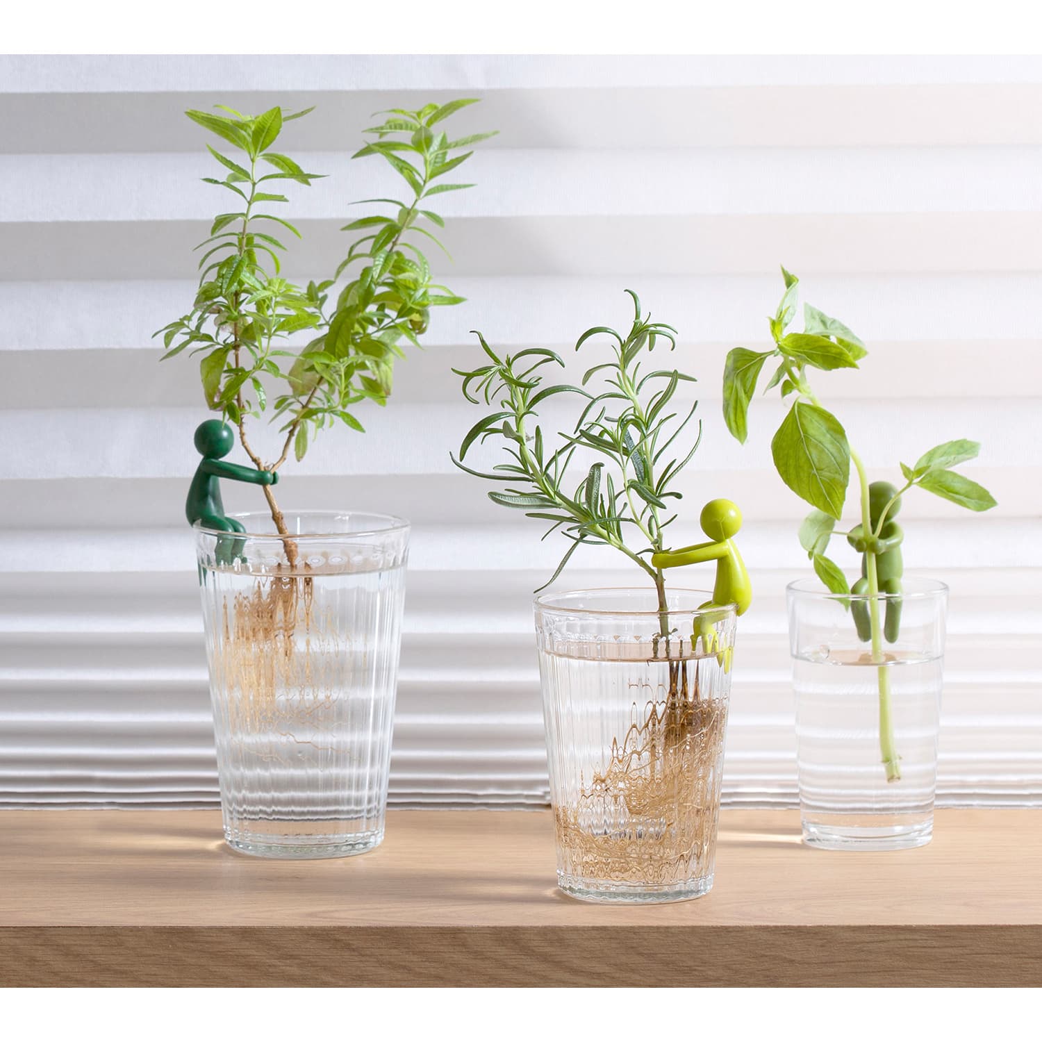 Produktbild Peleg Anzuchthelfer Leafriend 3er Set 3 von 5