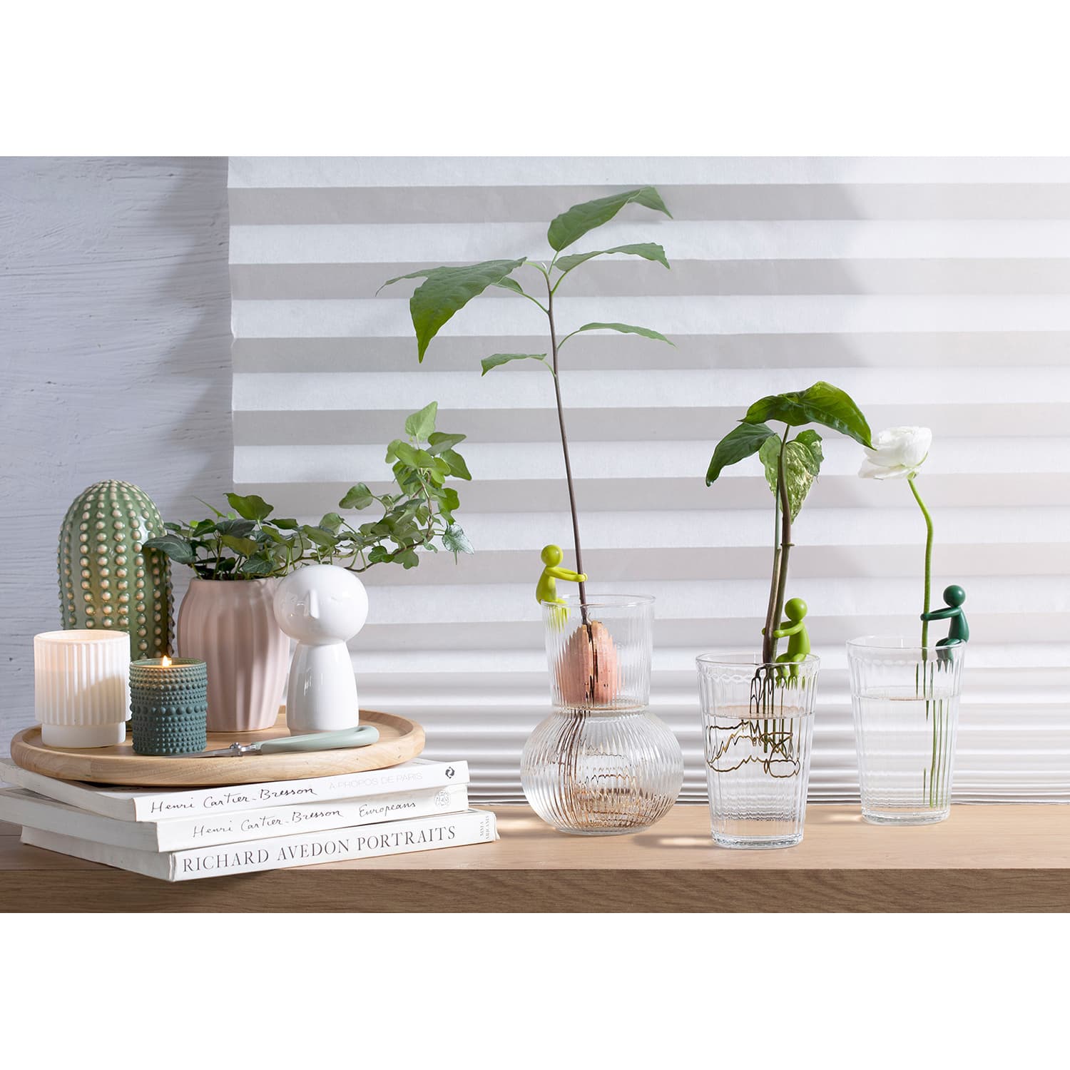 Produktbild Peleg Anzuchthelfer Leafriend 3er Set 5 von 5