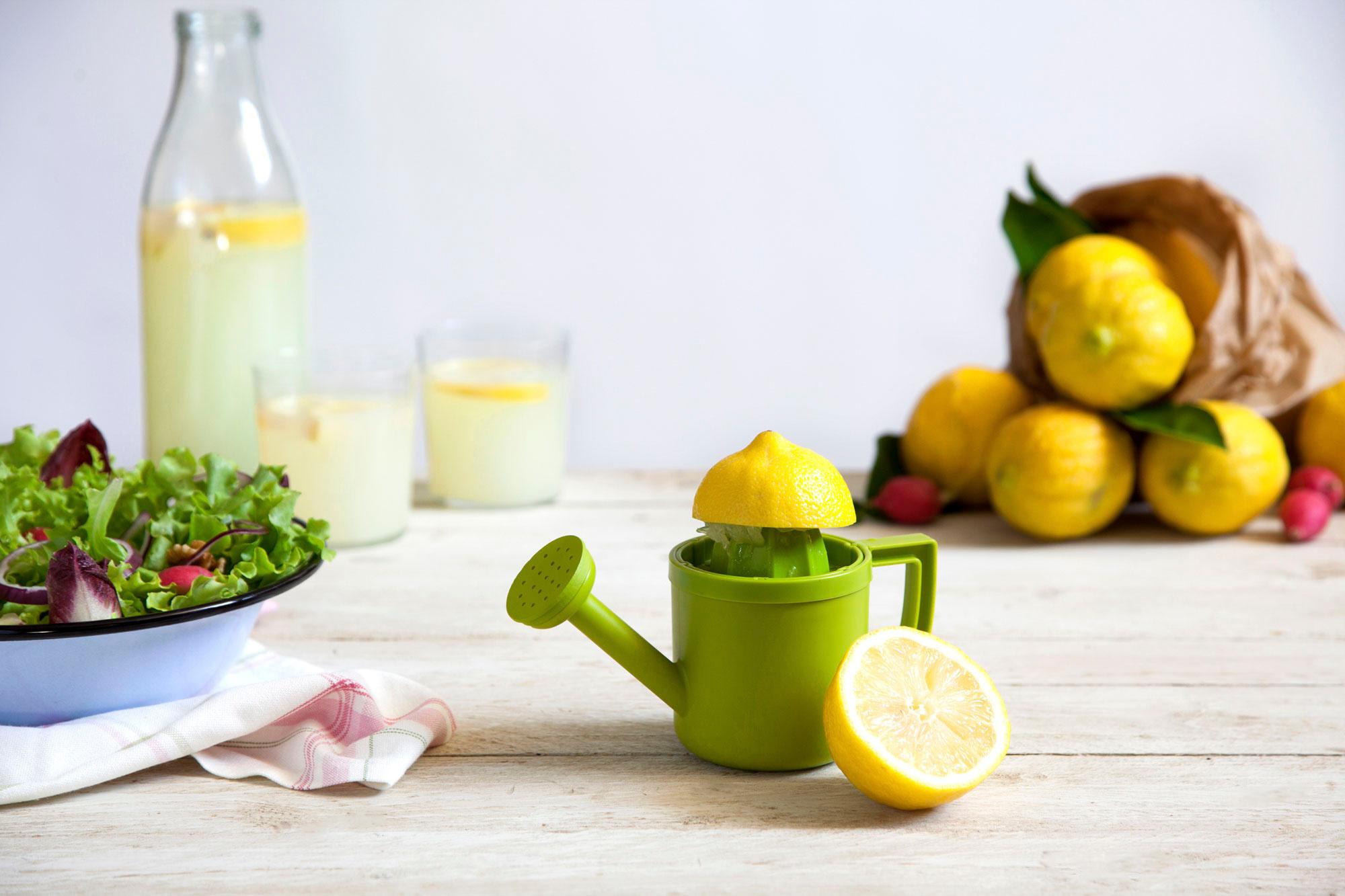 Produktbild Peleg Zitronenpresse LEMONIERE 4 von 4