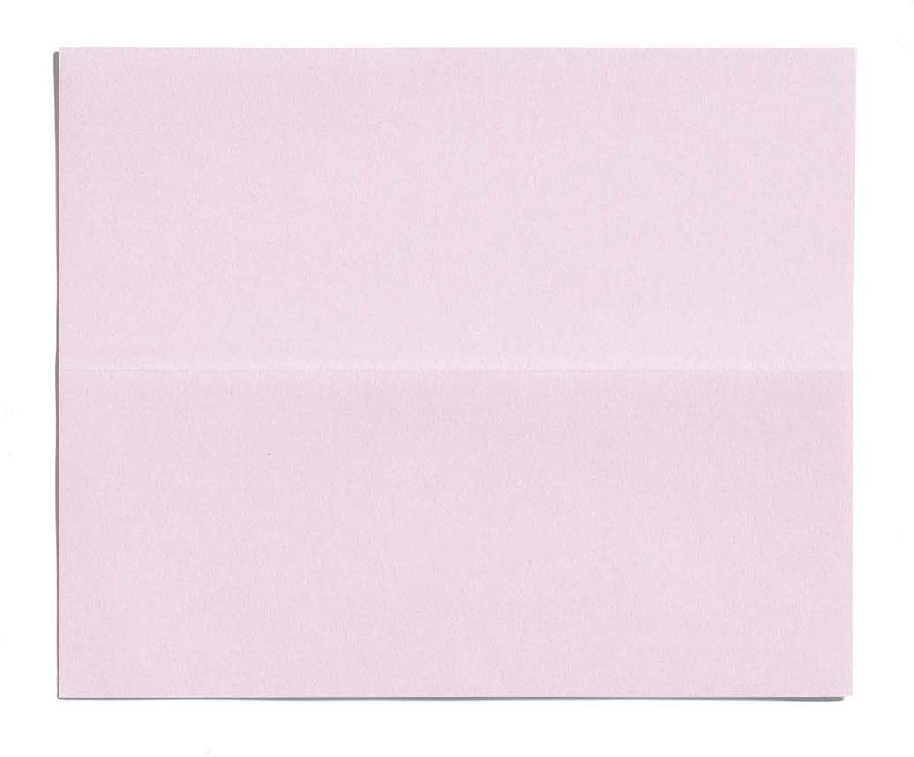 Produktbild SHISEIDO Oil Control Blotting Paper 100 Stück 5 von 6
