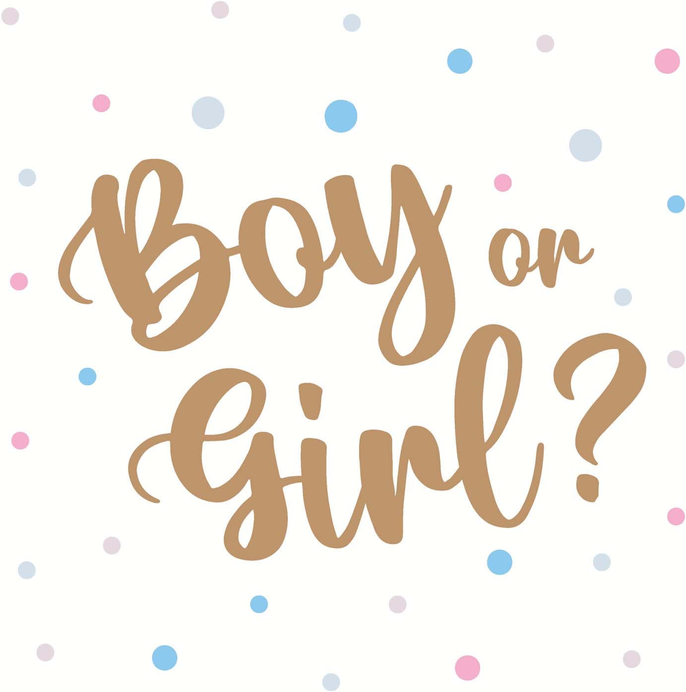 Paper + Design Servietten Boy or Girl 33x33cm