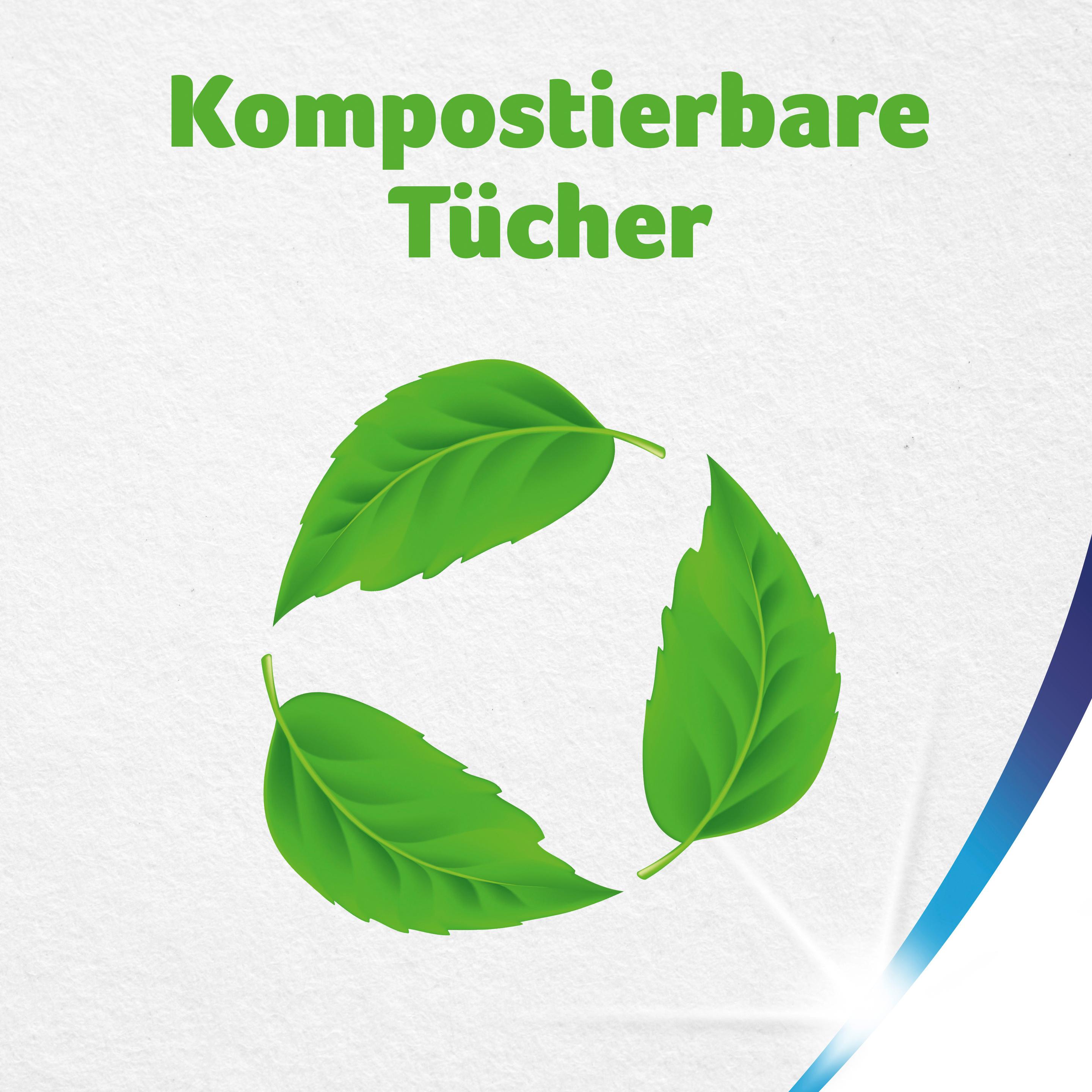 Produktbild ZEWA WISCH&WEG Sparblatt 7 von 8