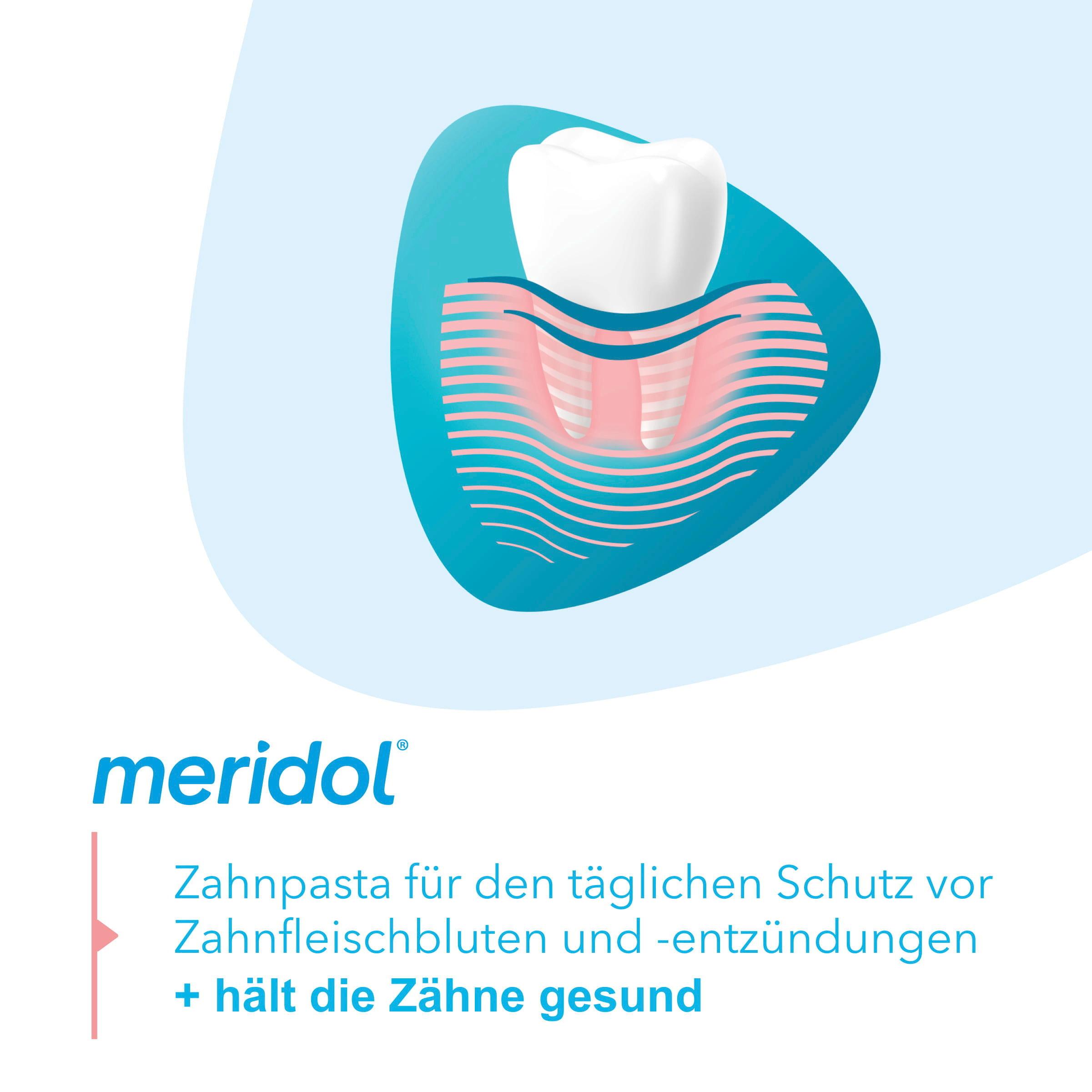 Produktbild meridol Zahnfleischschutz Zahnpasta bei Zahnfleischbluten, Zahnfleischentzündung oder Zahnfleischrückgang 8 von 10