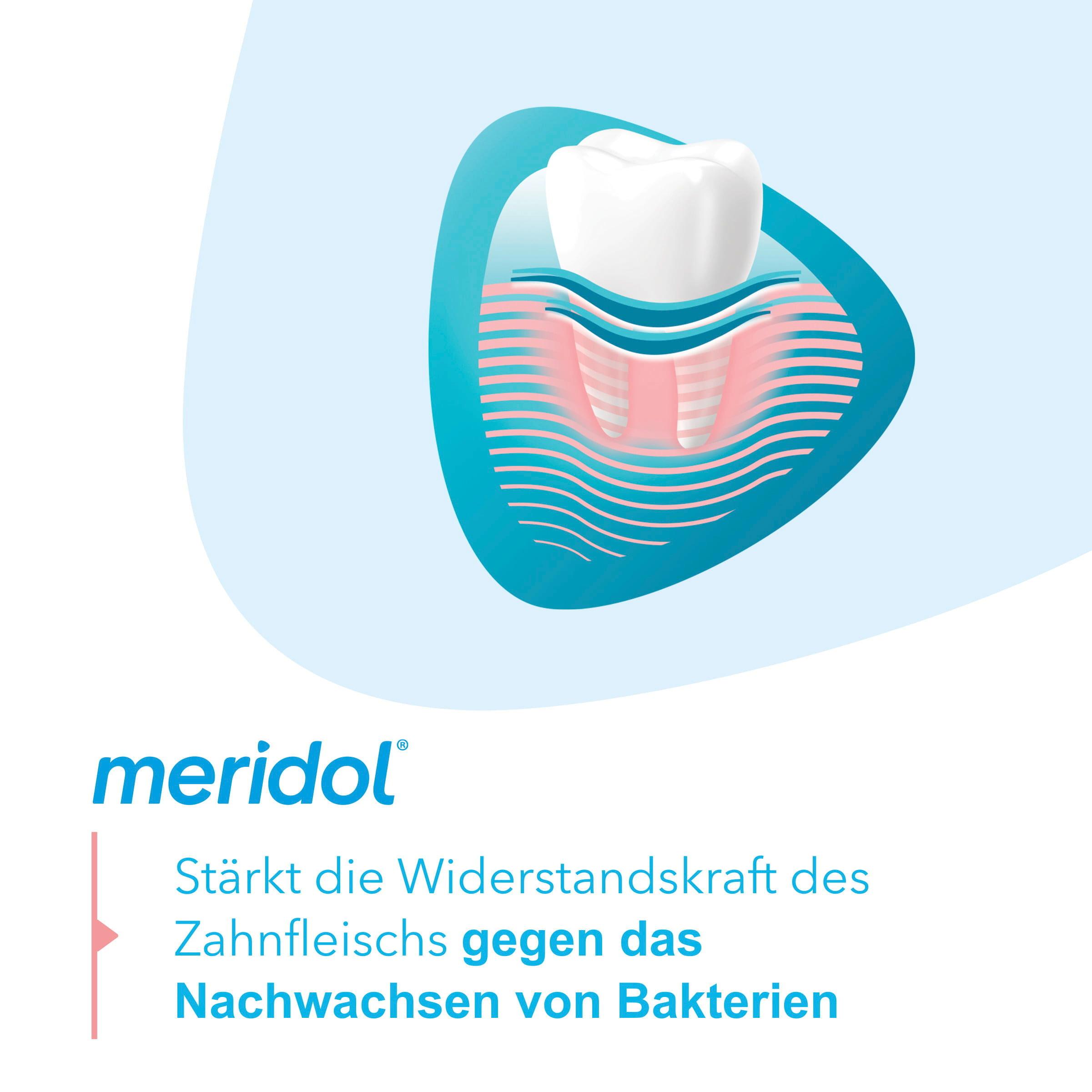 Produktbild meridol Zahnfleischschutz Zahnpasta bei Zahnfleischbluten, Zahnfleischentzündung oder Zahnfleischrückgang 6 von 10
