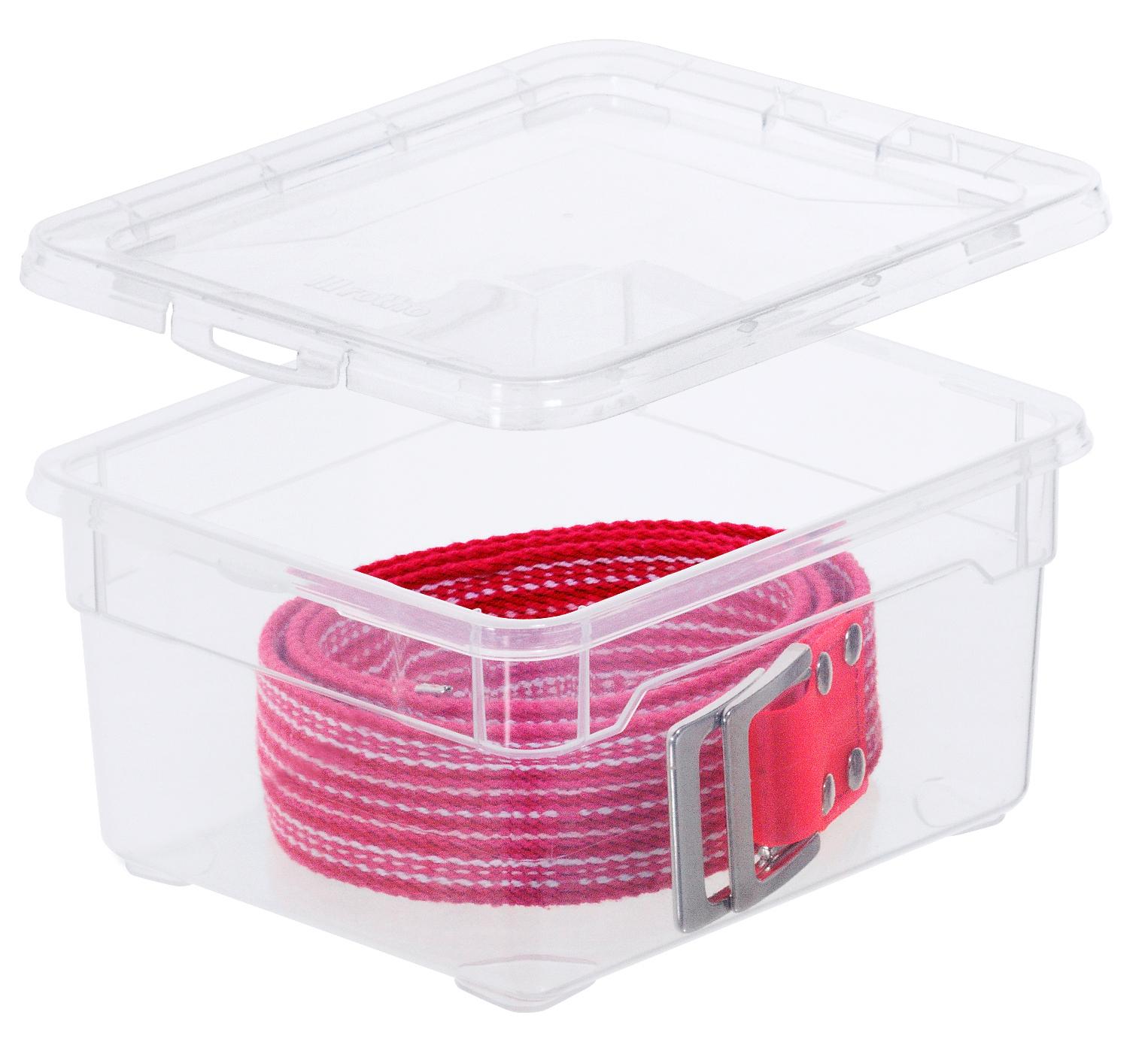 rotho Clearbox / Klarsichtbox Small