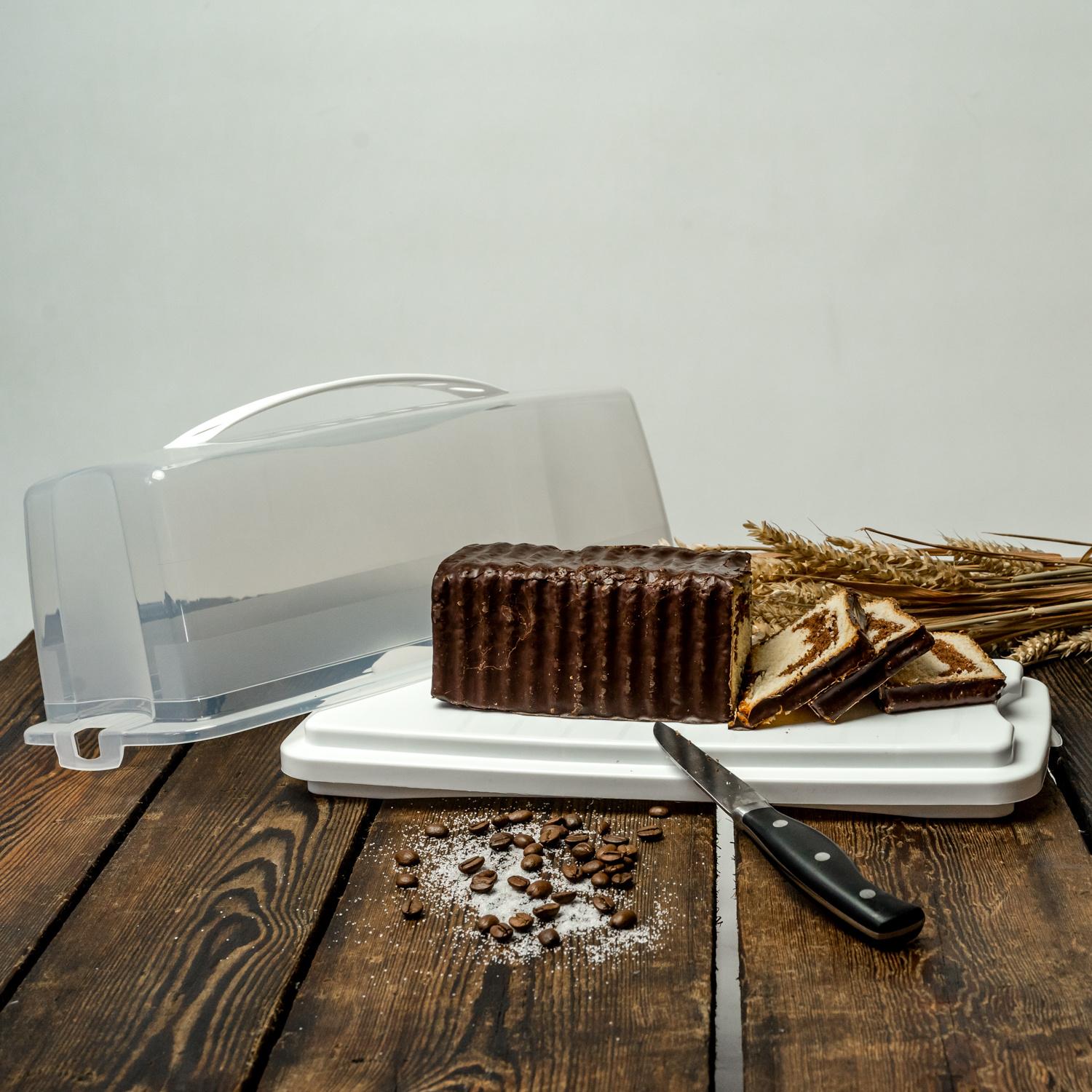 Produktbild rotho Transportbox Kastenkuchen FRESH 3 von 5