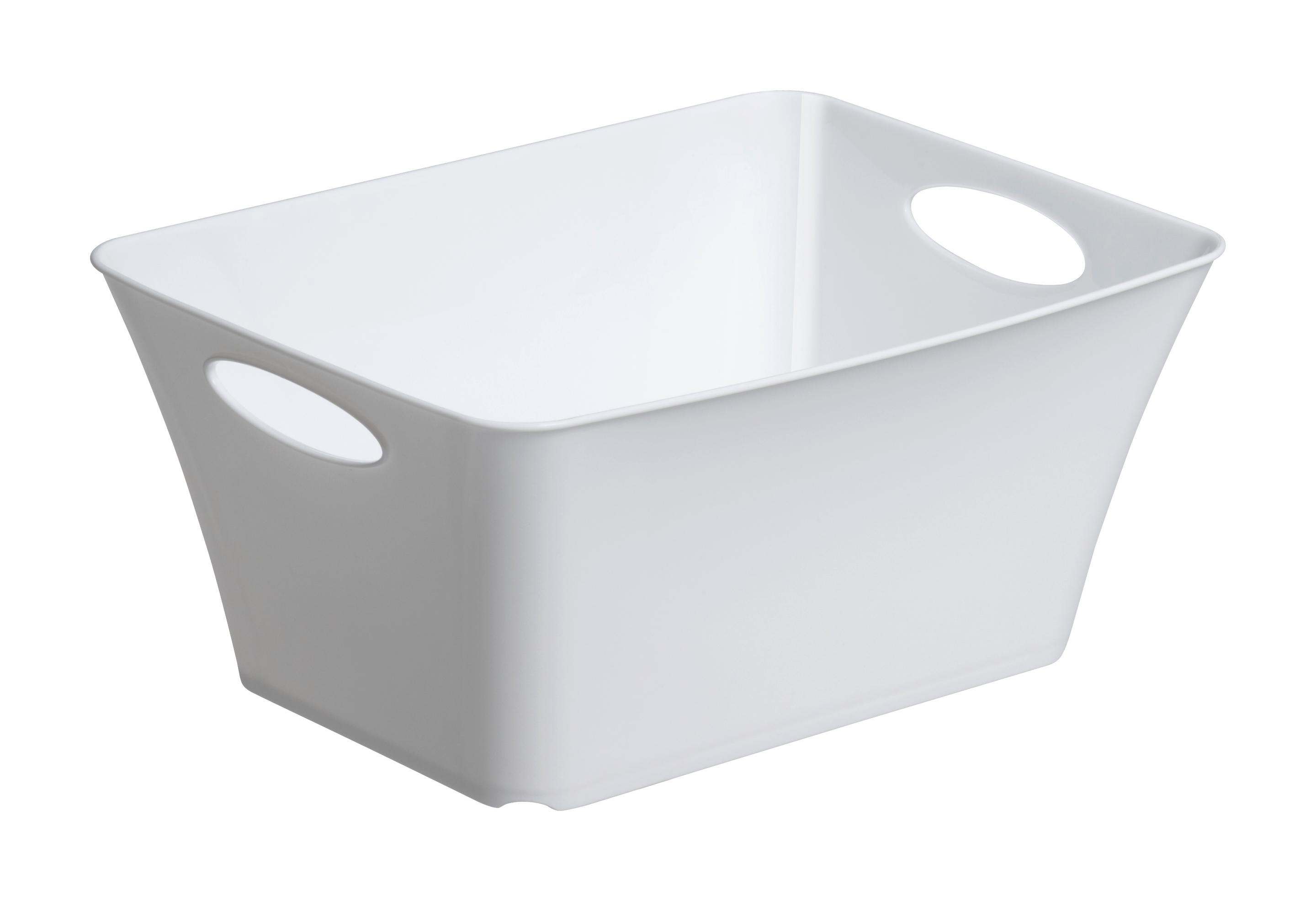 rotho Aufbewahrungsbox Livingbox 5l