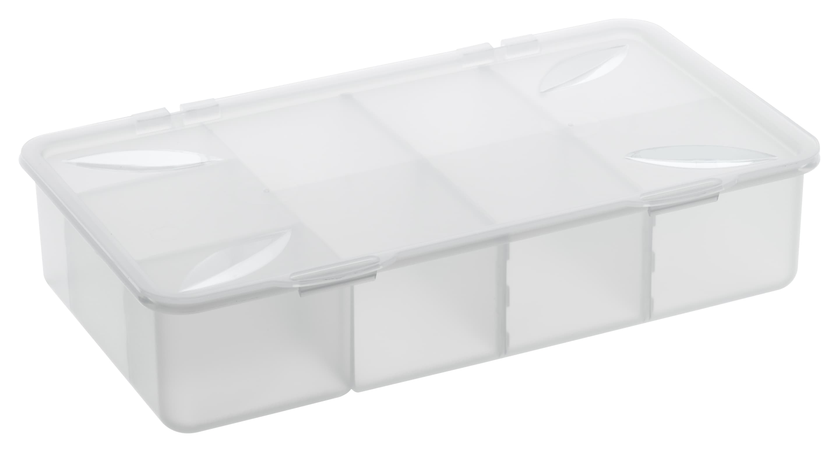 rotho Aufbewahrungsbox Snappy 3l