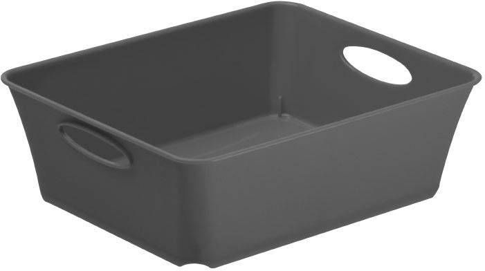 rotho Aufbewahrungsbox DIN A6 LIVING 1l