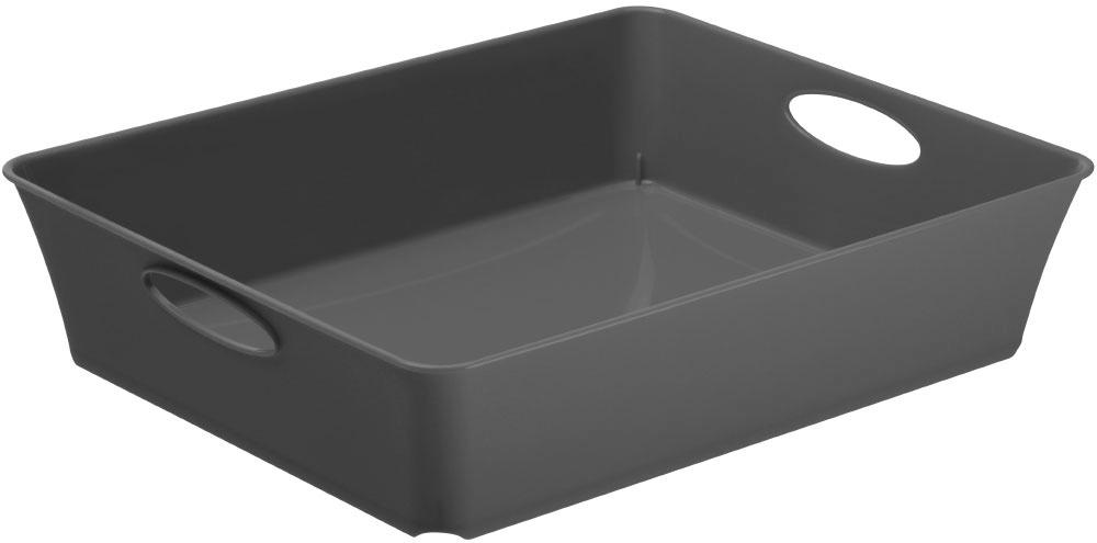 rotho Aufbewahrungsbox DIN A5 LIVING 2,5l