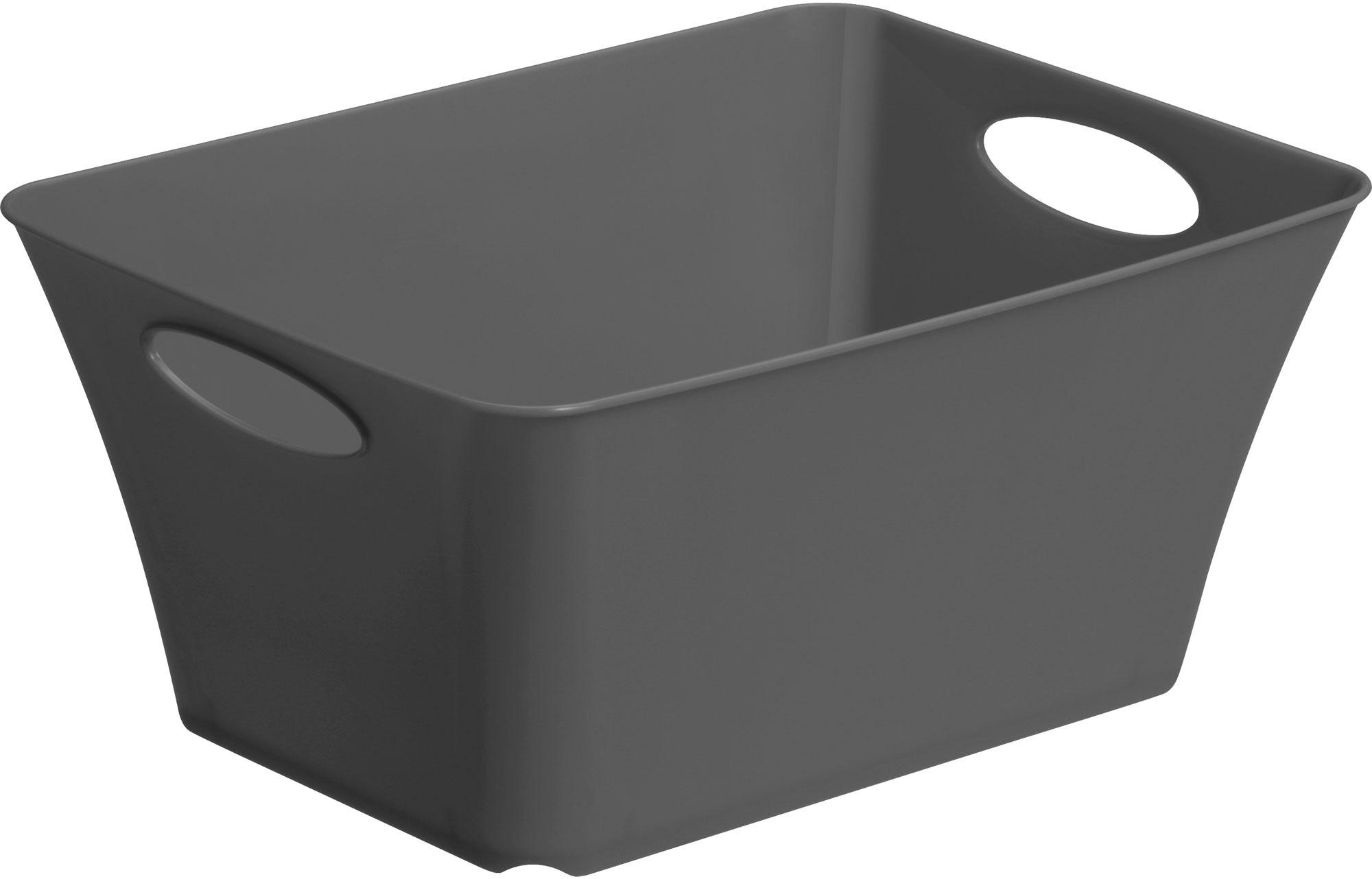 rotho Aufbewahrungsbox Livingbox 5l