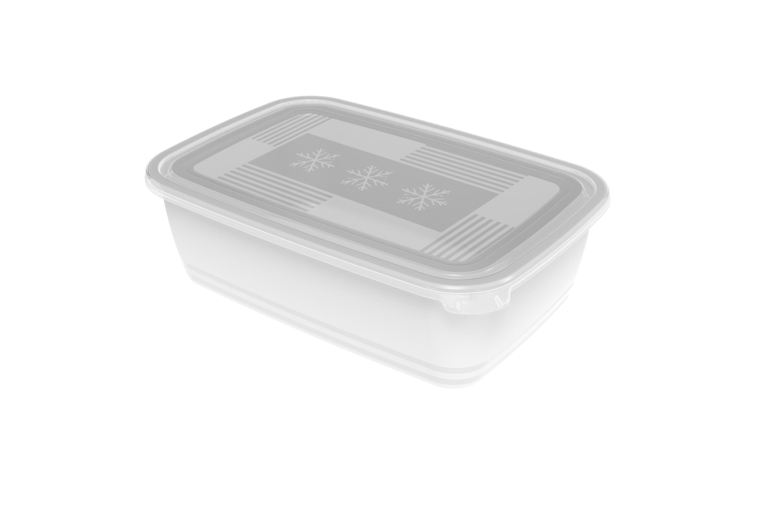 rotho Gefrierdose FREEZE 3,7l