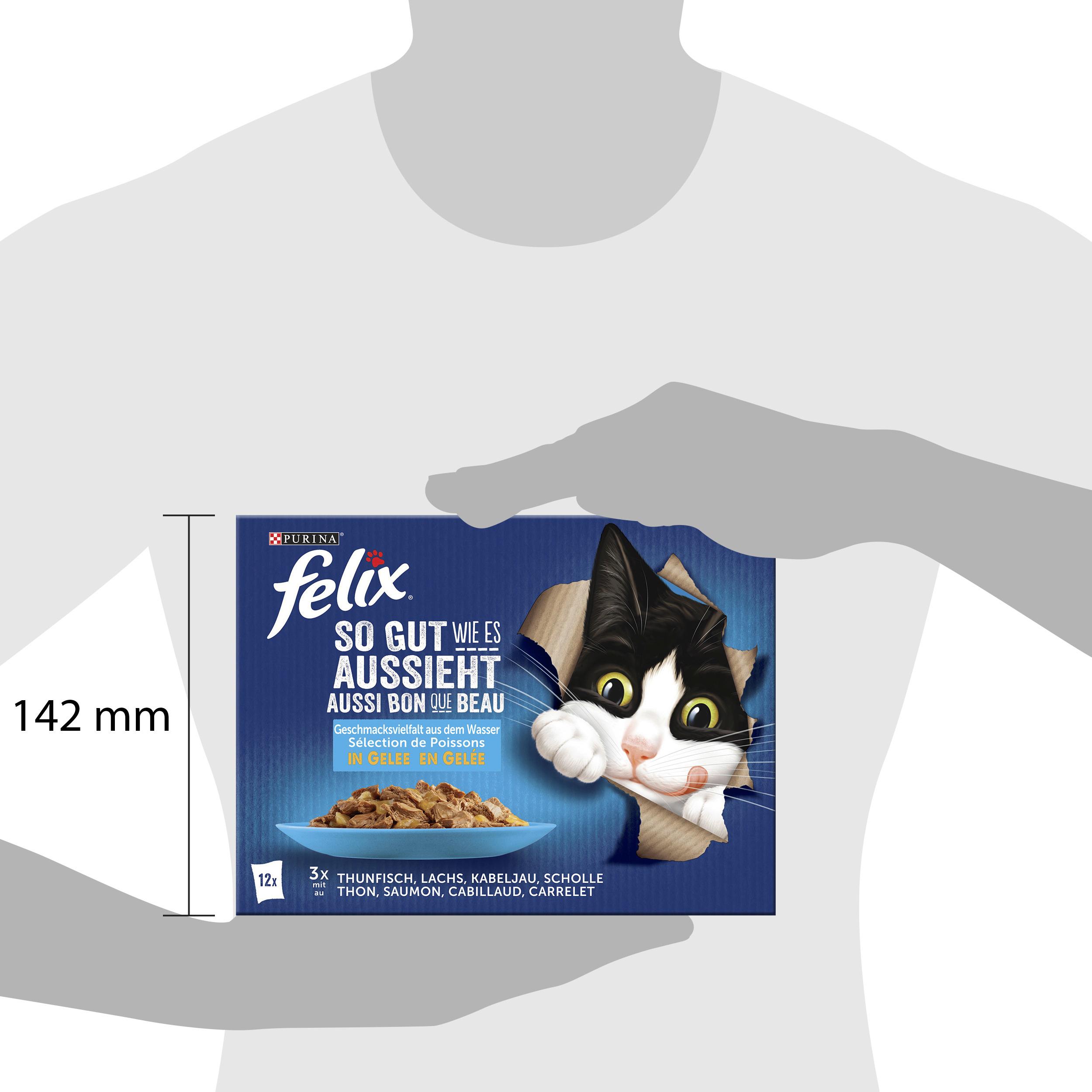 Produktbild PURINA FELIX Katzennassfutter So gut wie es aussieht in Gelee Geschmacksvielfalt aus dem Wasser 3 von 4