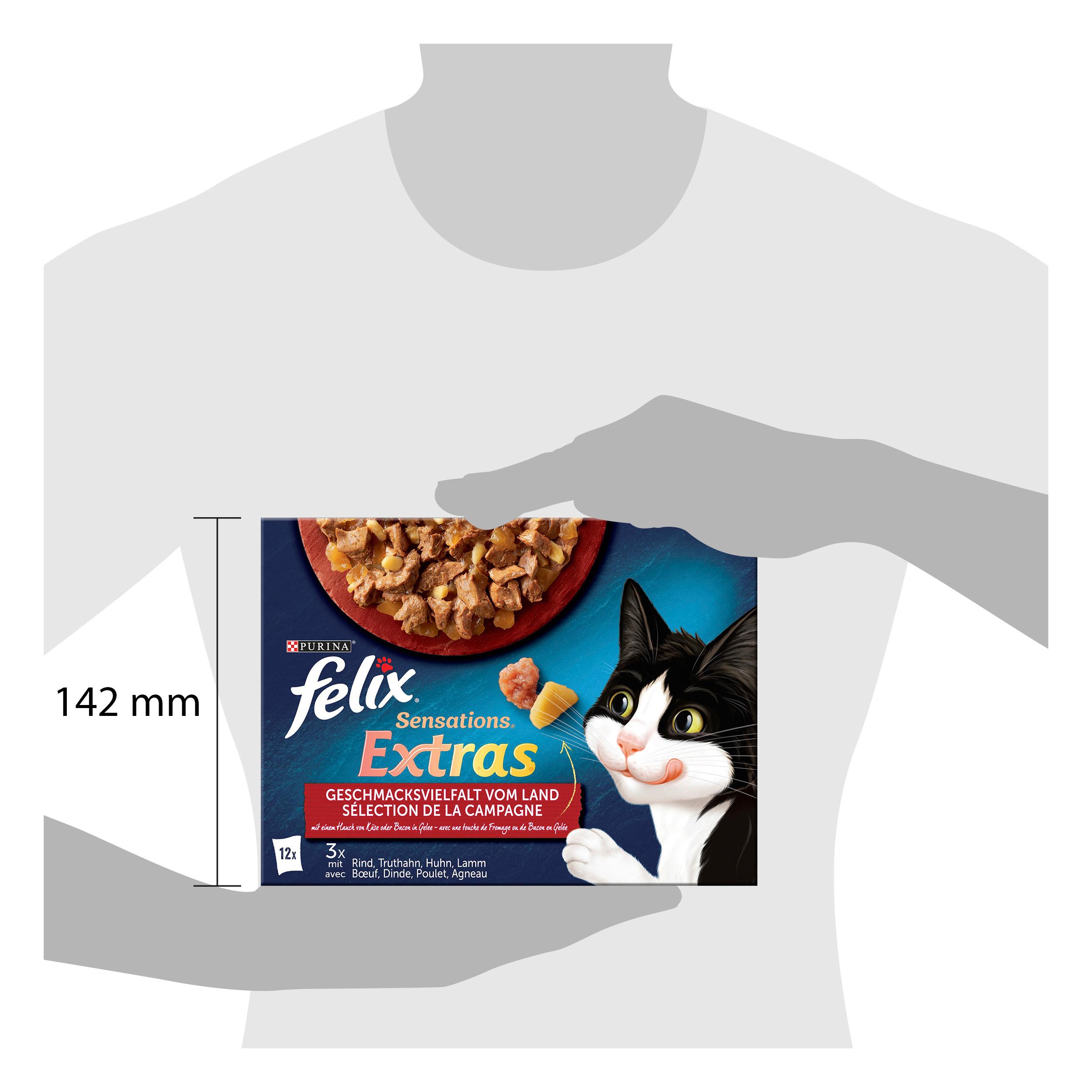 Produktbild PURINA FELIX Katzennassfutter Sensations Extras in Gelee Geschmacksvielfalt vom Land 4 von 4