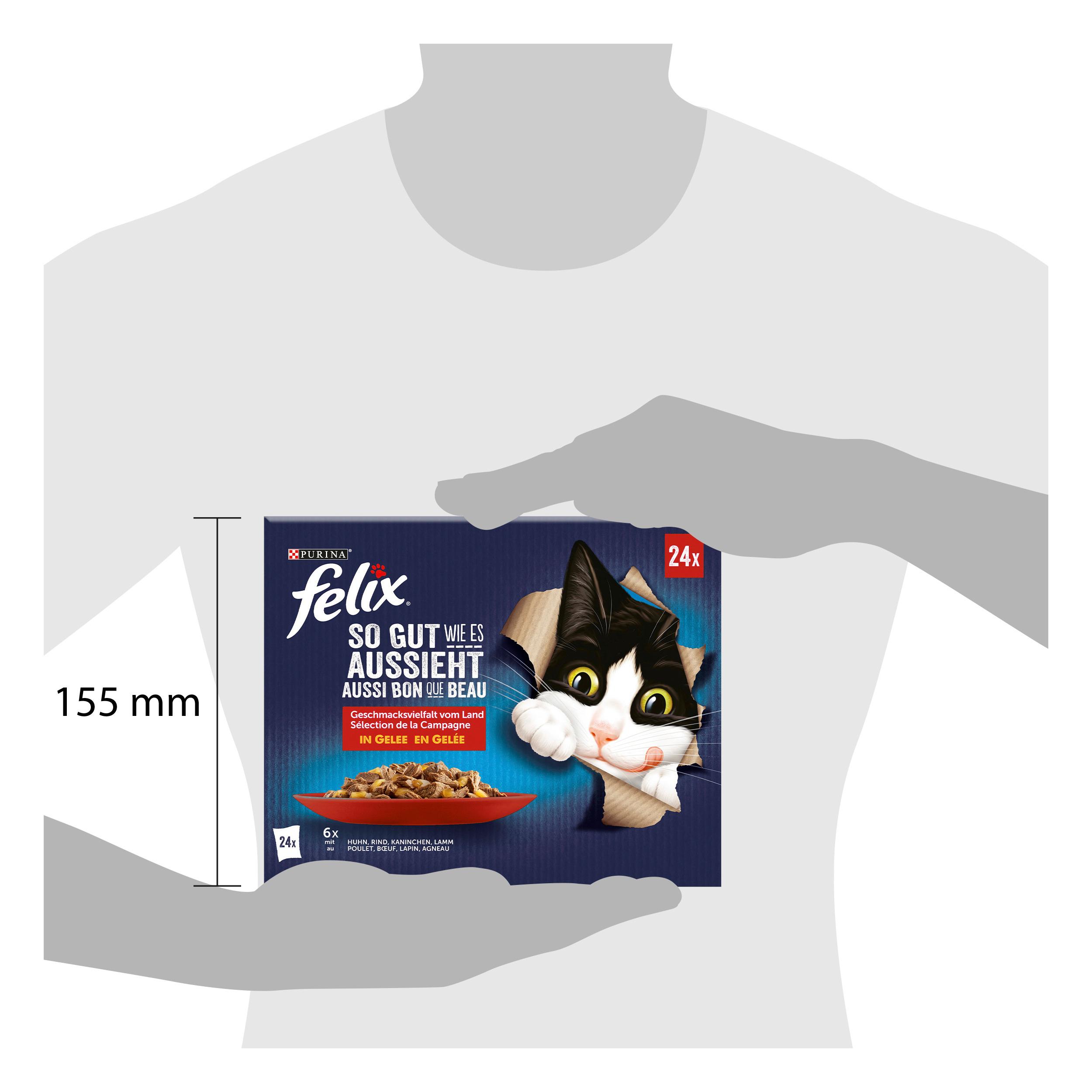 Produktbild PURINA FELIX Katzennassfutter So gut wie es aussieht in Gelee Geschmacksvielfalt vom Land 4 von 4