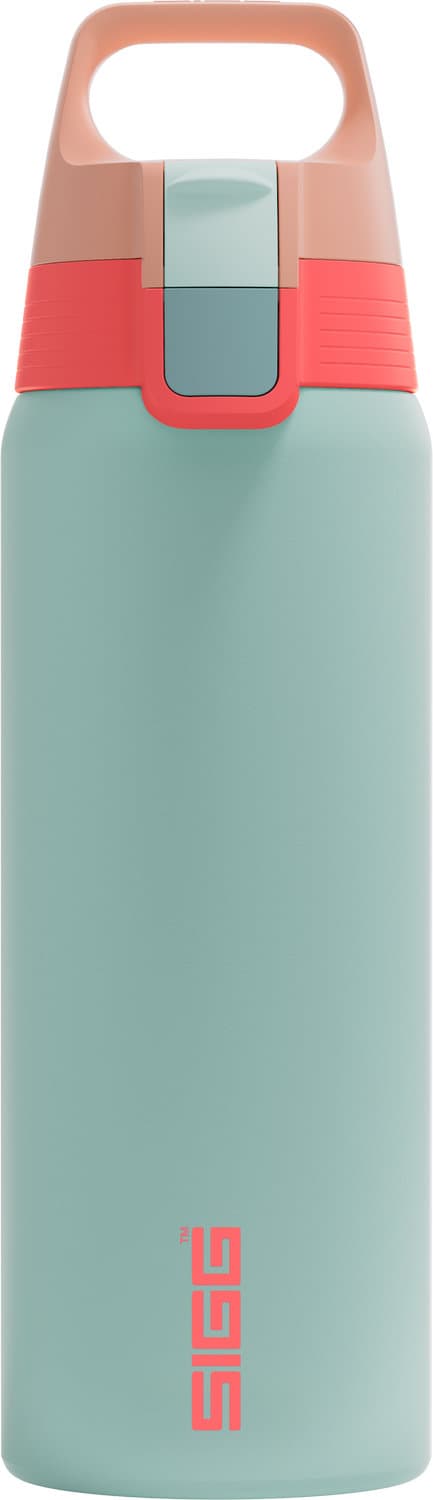 SIGG Trinkflasche Shield One Summer Ice 750ml