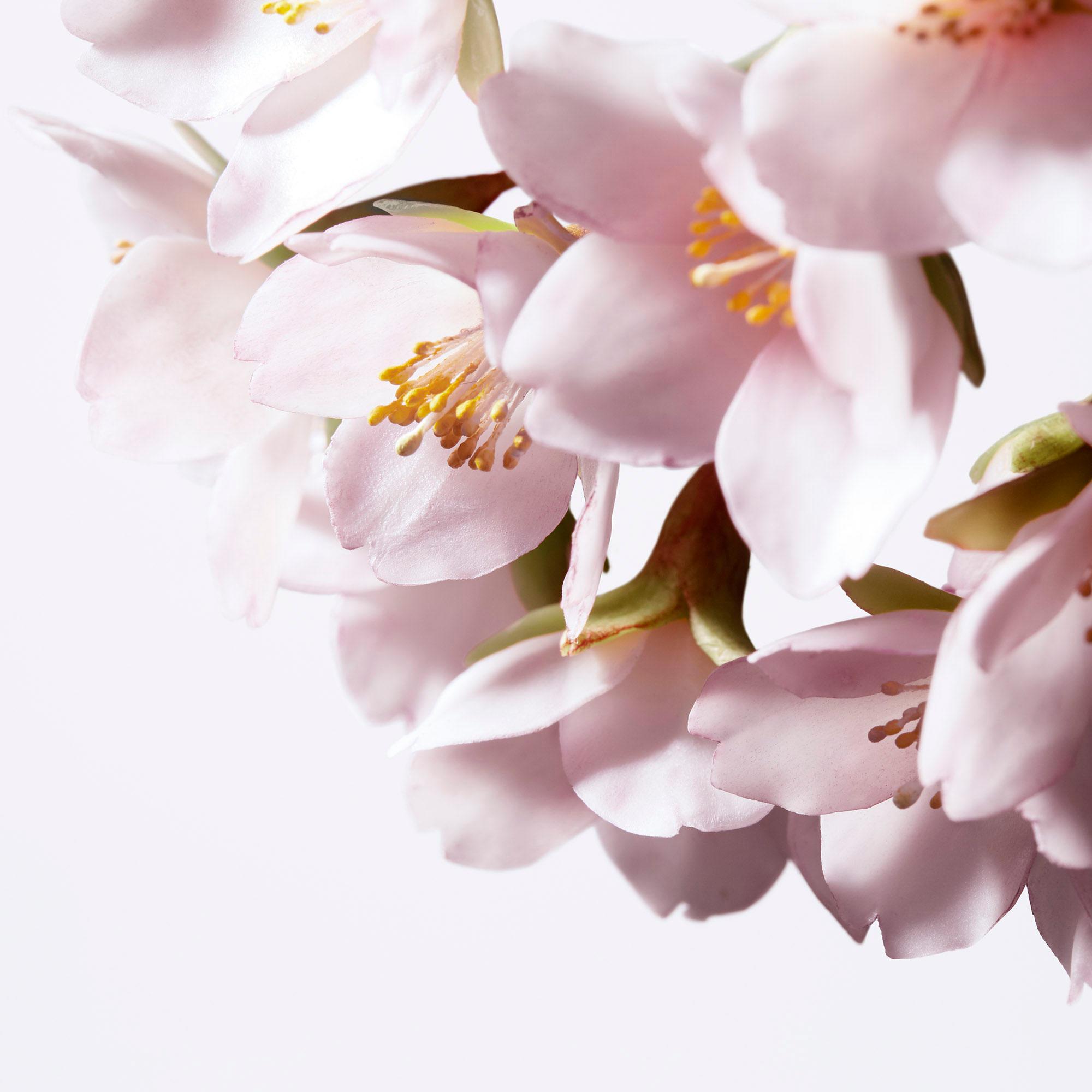 Produktbild SHISEIDO White Lucent Illuminating Micro-Spot Serum 5 von 12