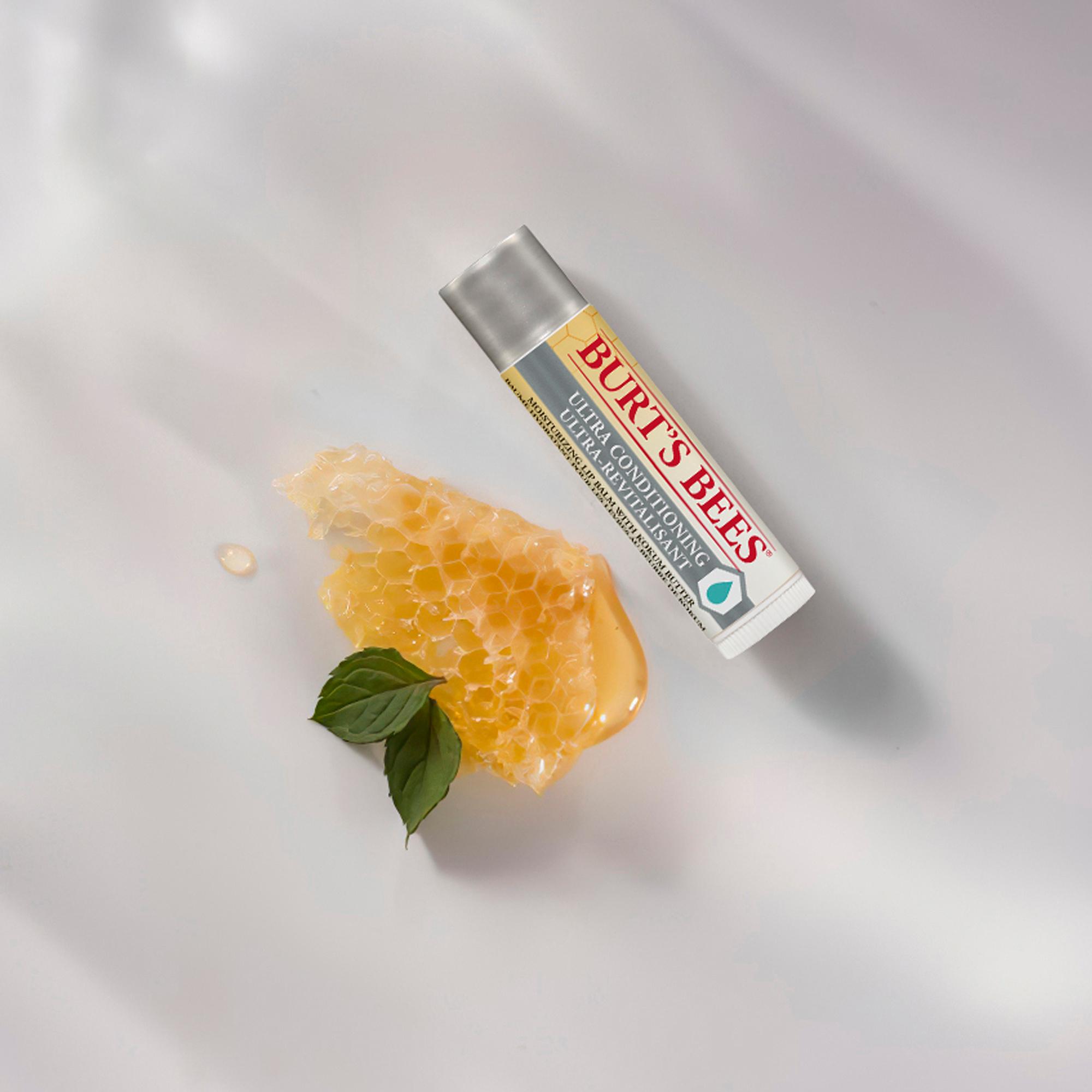 Produktbild BURT'S BEES Ultra Conditioning Kokum Butter Lip Balm 3 von 3