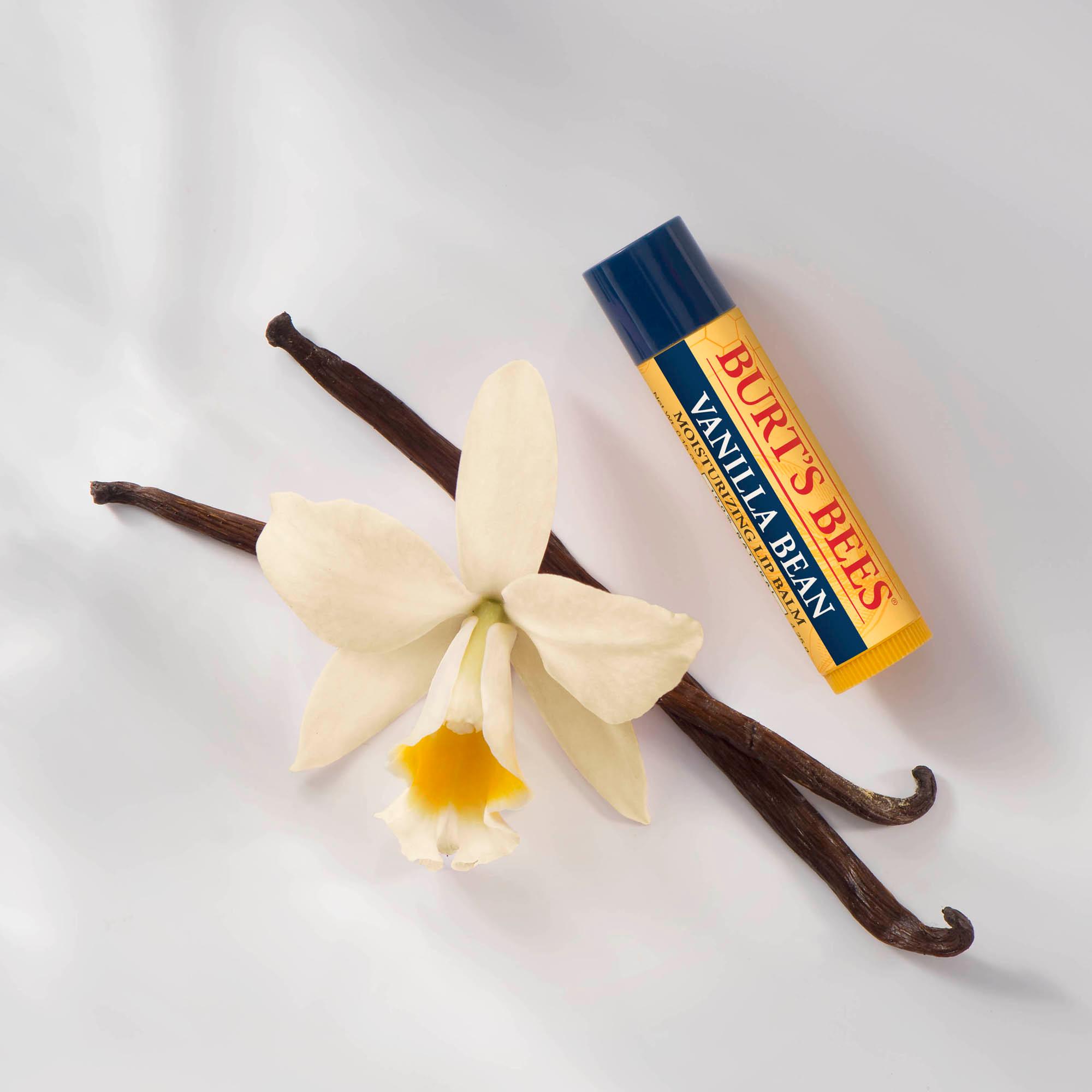 Produktbild BURT'S BEES Vanilla Lip Balm 3 von 3