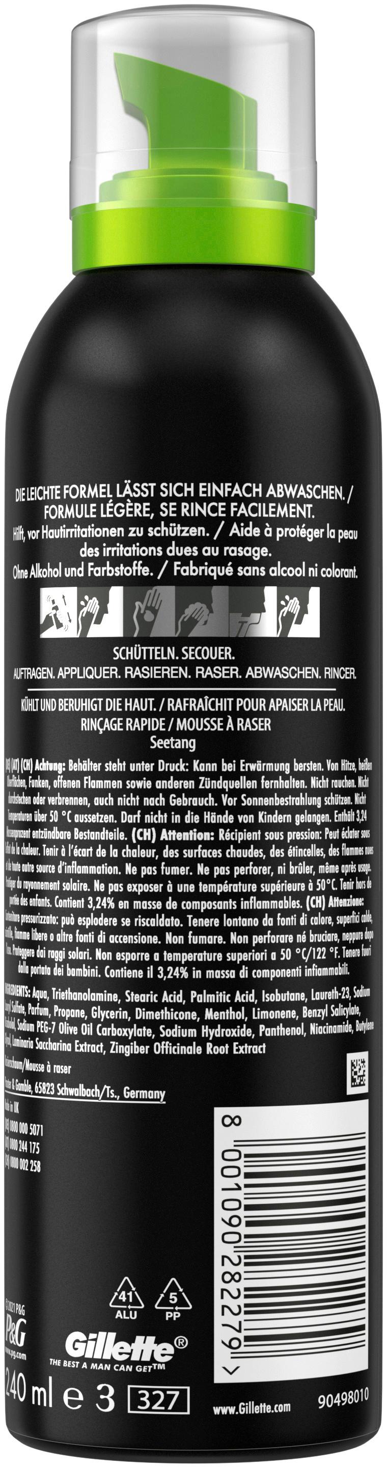 Produktbild Gillette Rasierschaum Labs  3 von 10