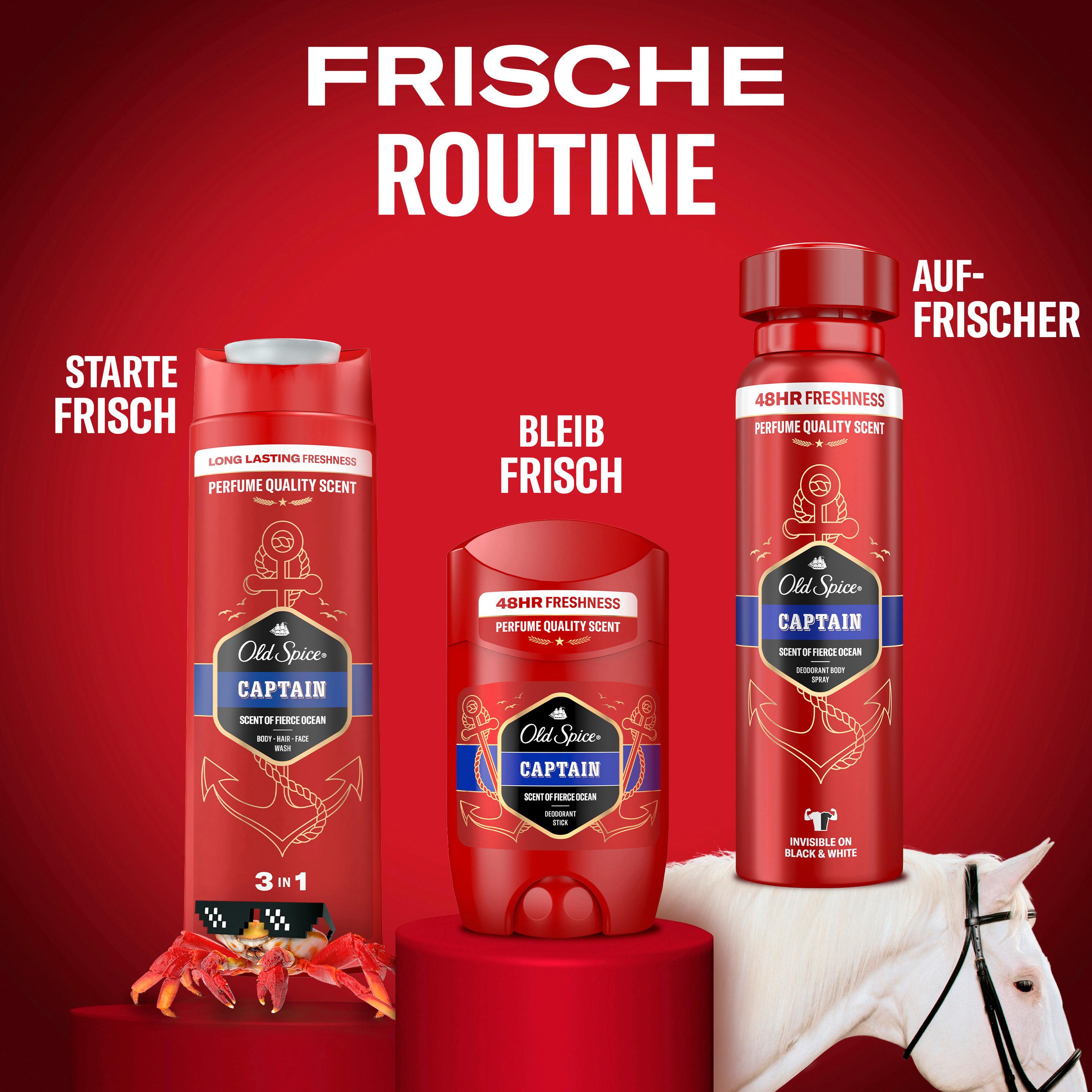 Produktbild Old Spice DEO Stick Captain 6 von 11