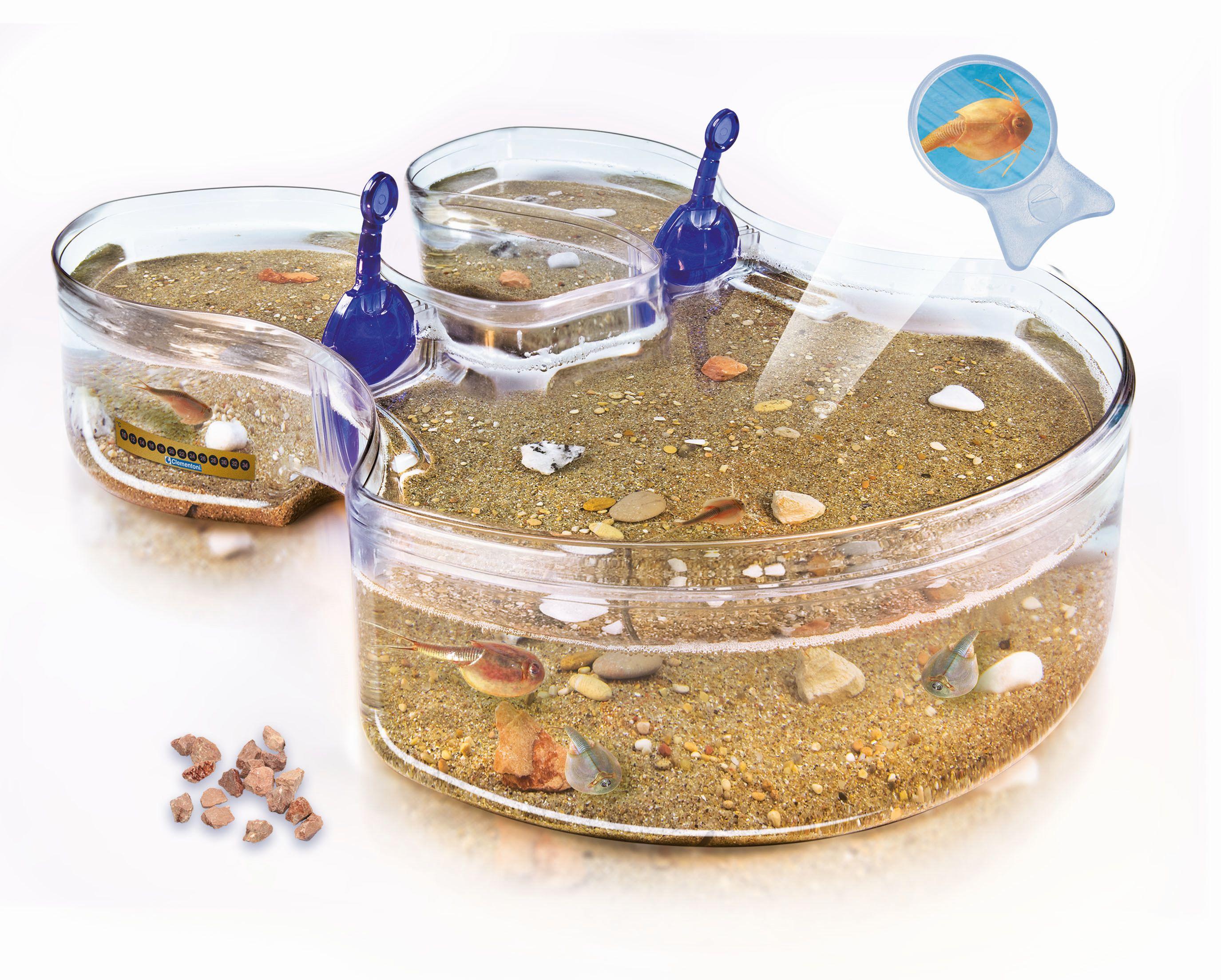 Produktbild Clementoni - Galileo - Original Triops Maxi de Luxe 3 von 7