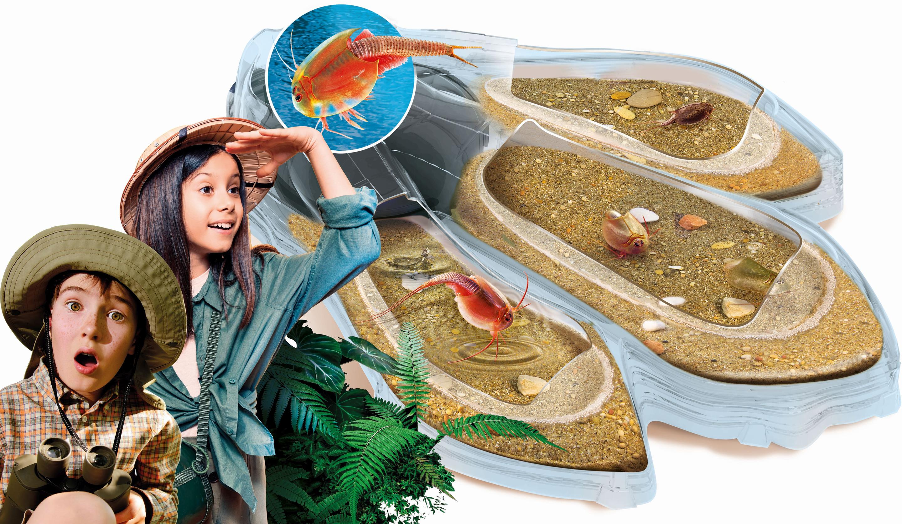 Produktbild Clementoni - Galileo - Original Triops Maxi de Luxe 6 von 7