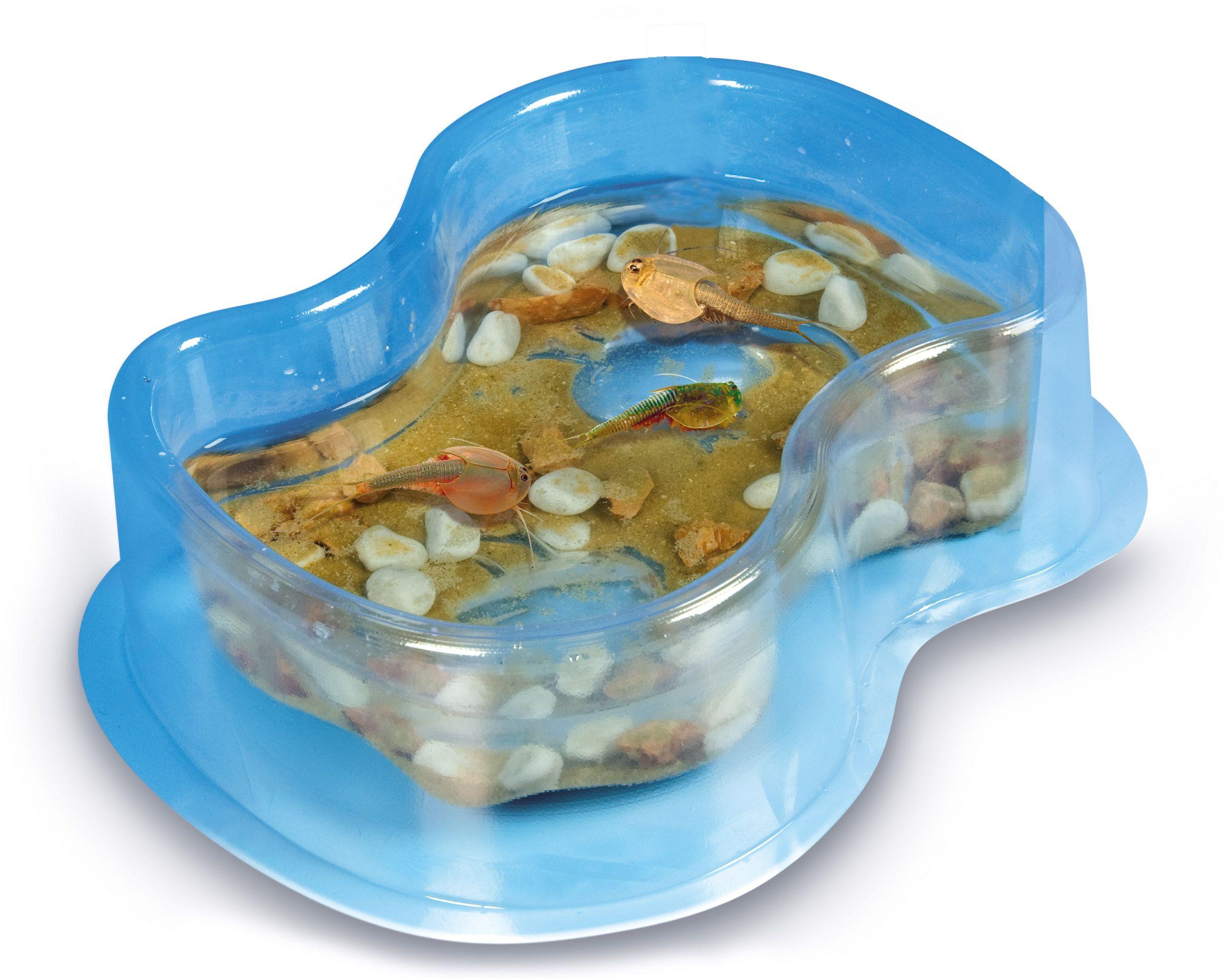 Produktbild Clementoni - Galileo - Original Triops Starter Set 4 von 7