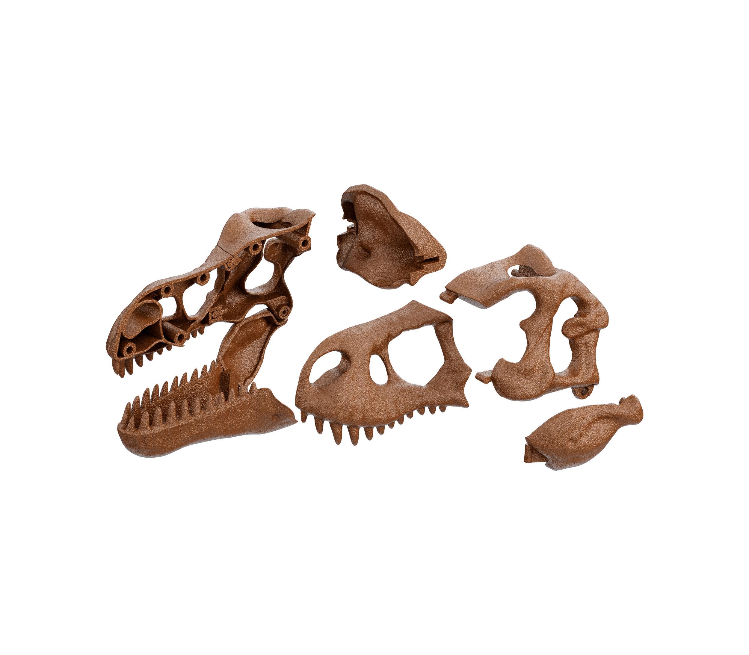 Produktbild Clementoni - GALILEO Ausgrabungs-Set Riesenschädel T-Rex 59445 5 von 6
