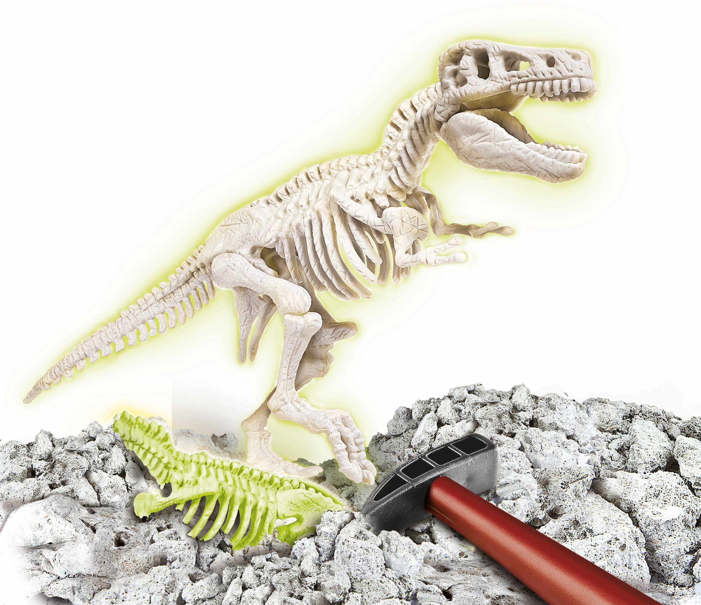 Produktbild Clementoni - Galileo - Ausgrabungs-Set - T-Rex fluoreszierend 7 von 7