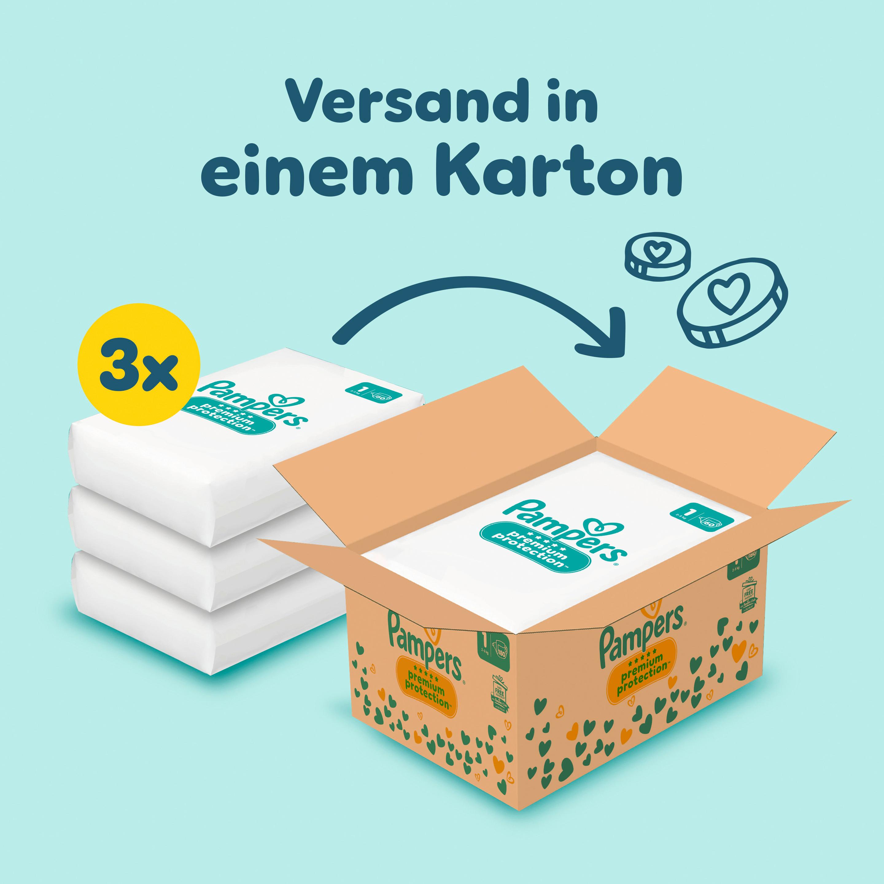 Produktbild Pampers Premium Protection Windeln Gr. 1 2-5kg Monatsbox 8 von 19