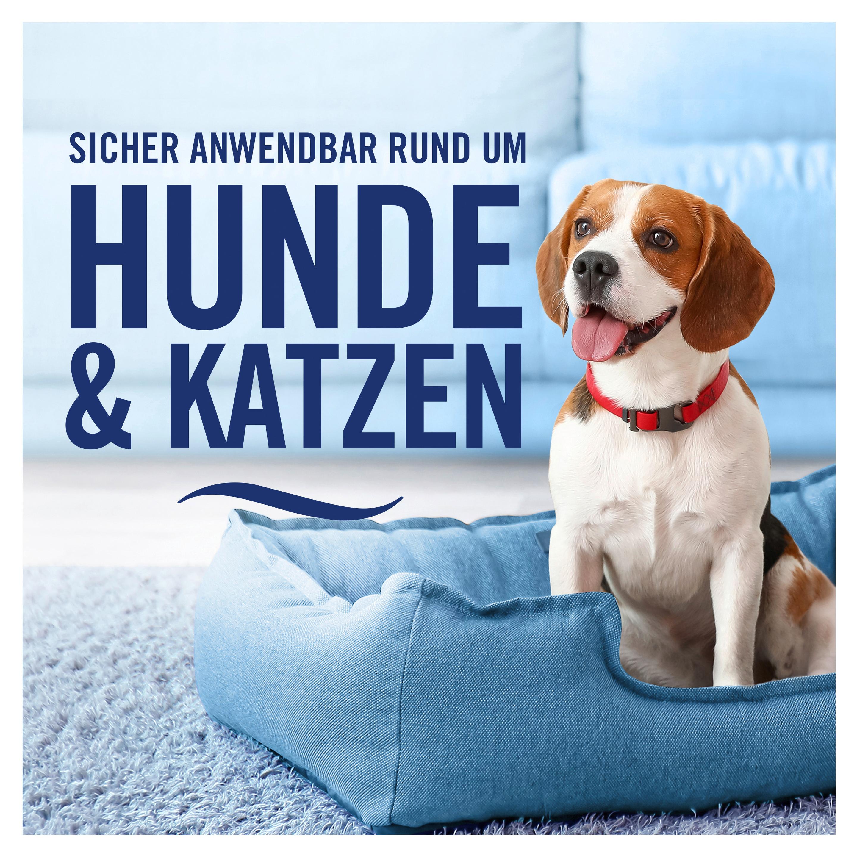 Produktbild Febreze Textilerfrischer Lenor Goldene Orchidee 7 von 12