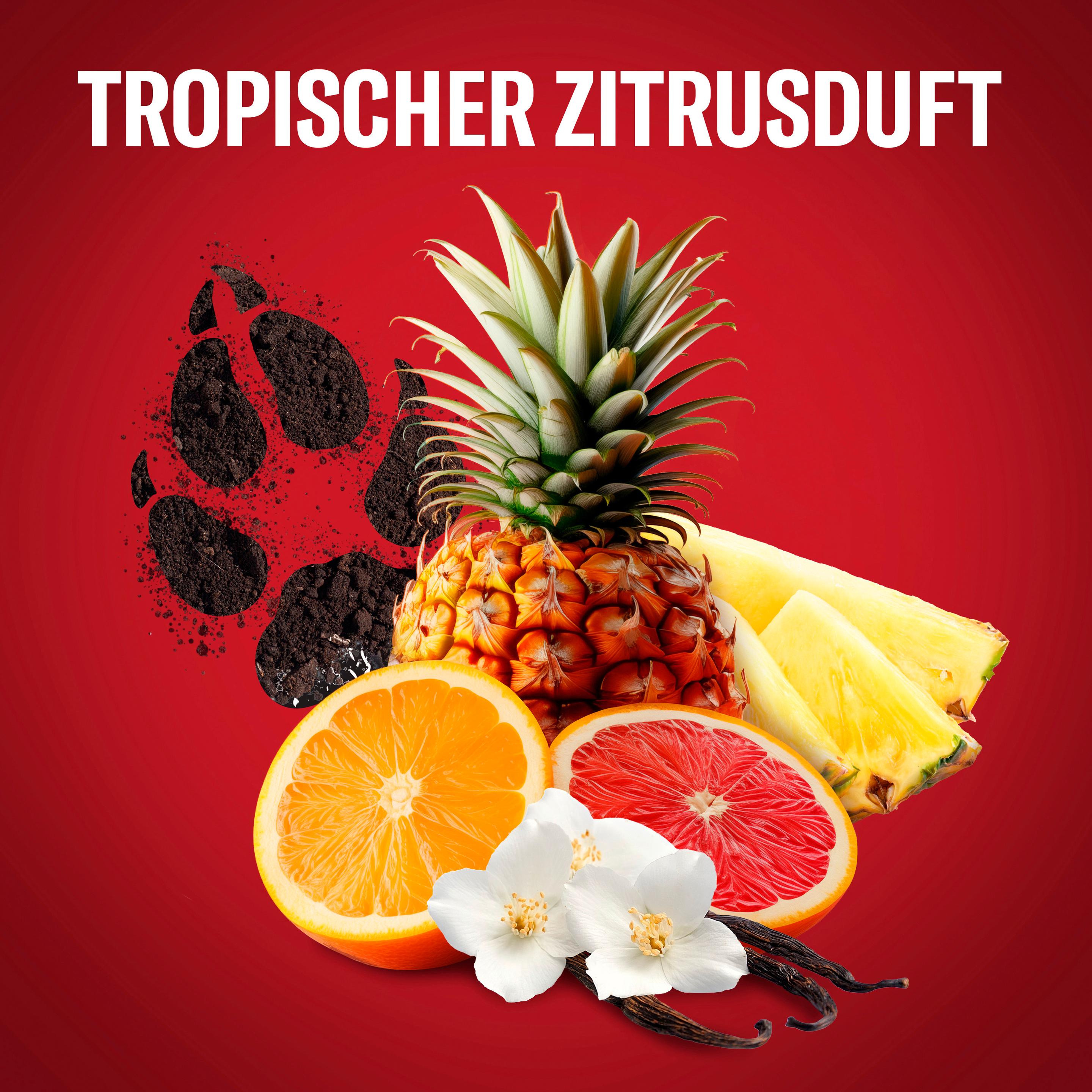 Produktbild Old Spice Wolfthorn Scent of wild citrus 3in1 Duschgel 7 von 11