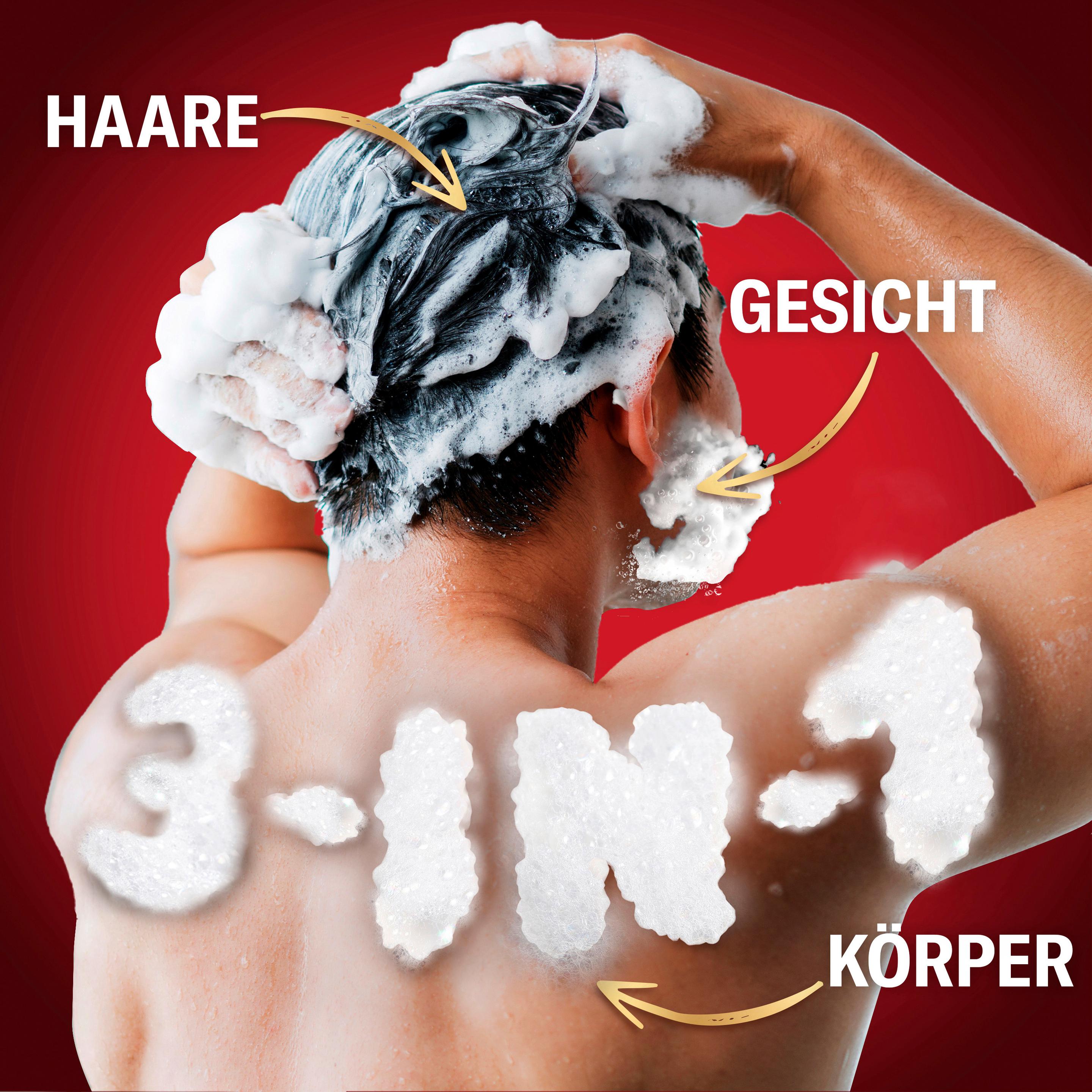 Produktbild Old Spice Wolfthorn Scent of wild citrus 3in1 Duschgel 10 von 11