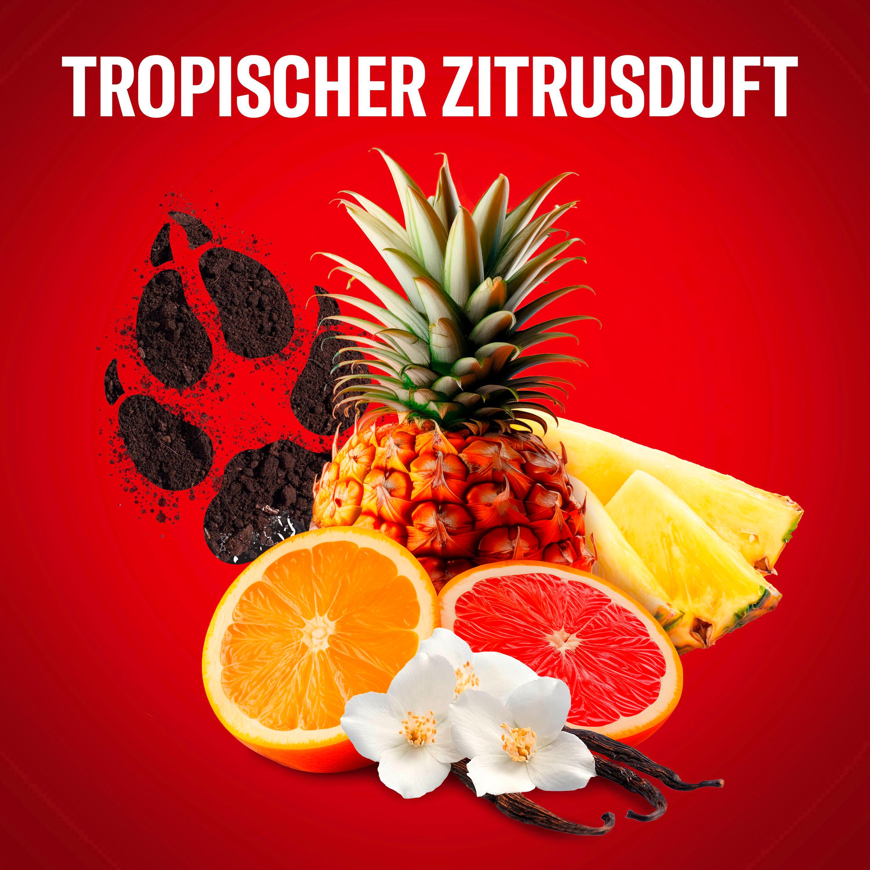 Produktbild Old Spice Wolfthorn Scent of wild citrus 3in1 Duschgel 4 von 11