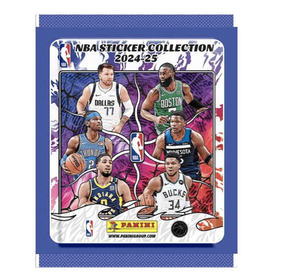 Basket US Hybrid 24/25 Panini