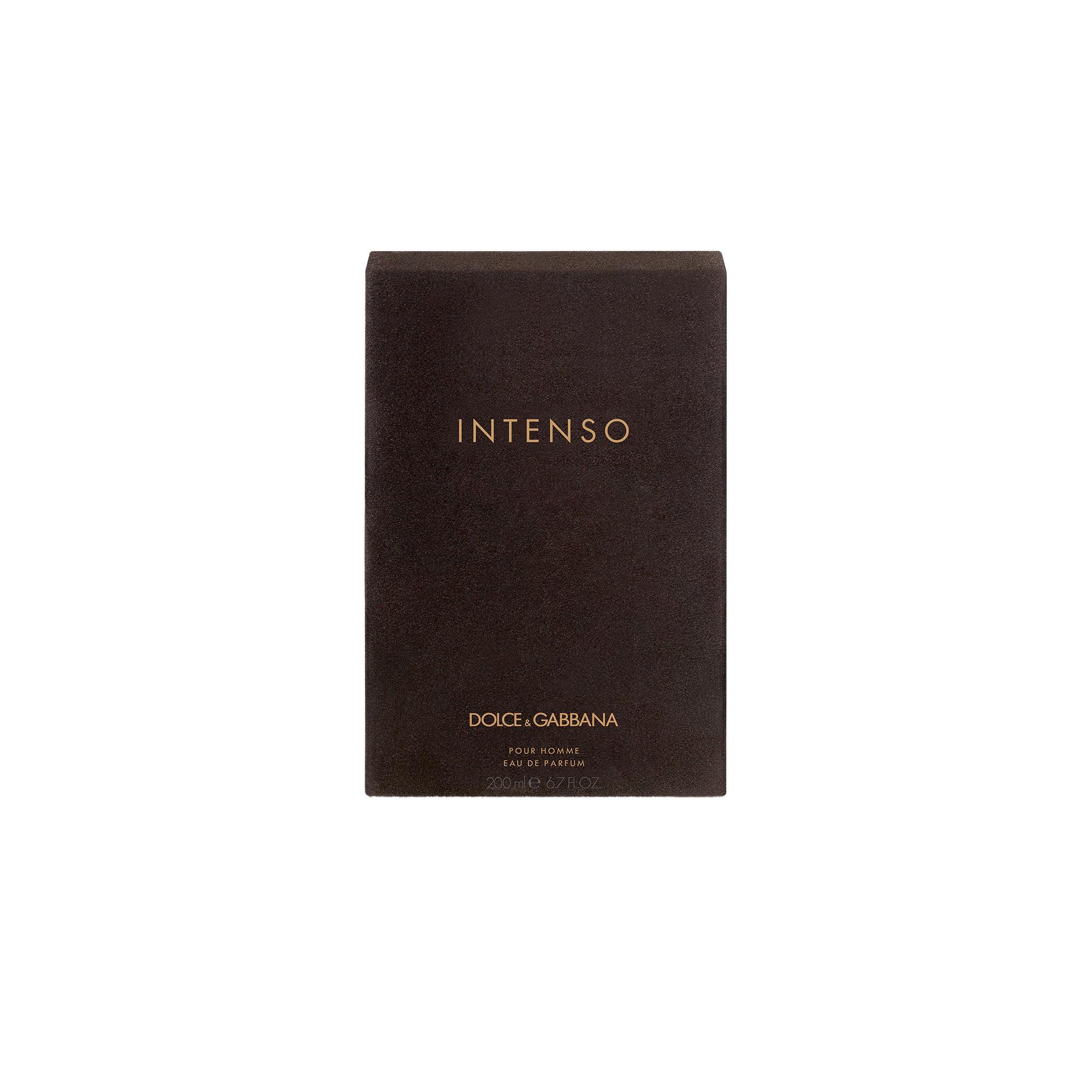Produktbild DOLCE&GABBANA Pour Homme Intenso Eau de Parfum 3 von 3