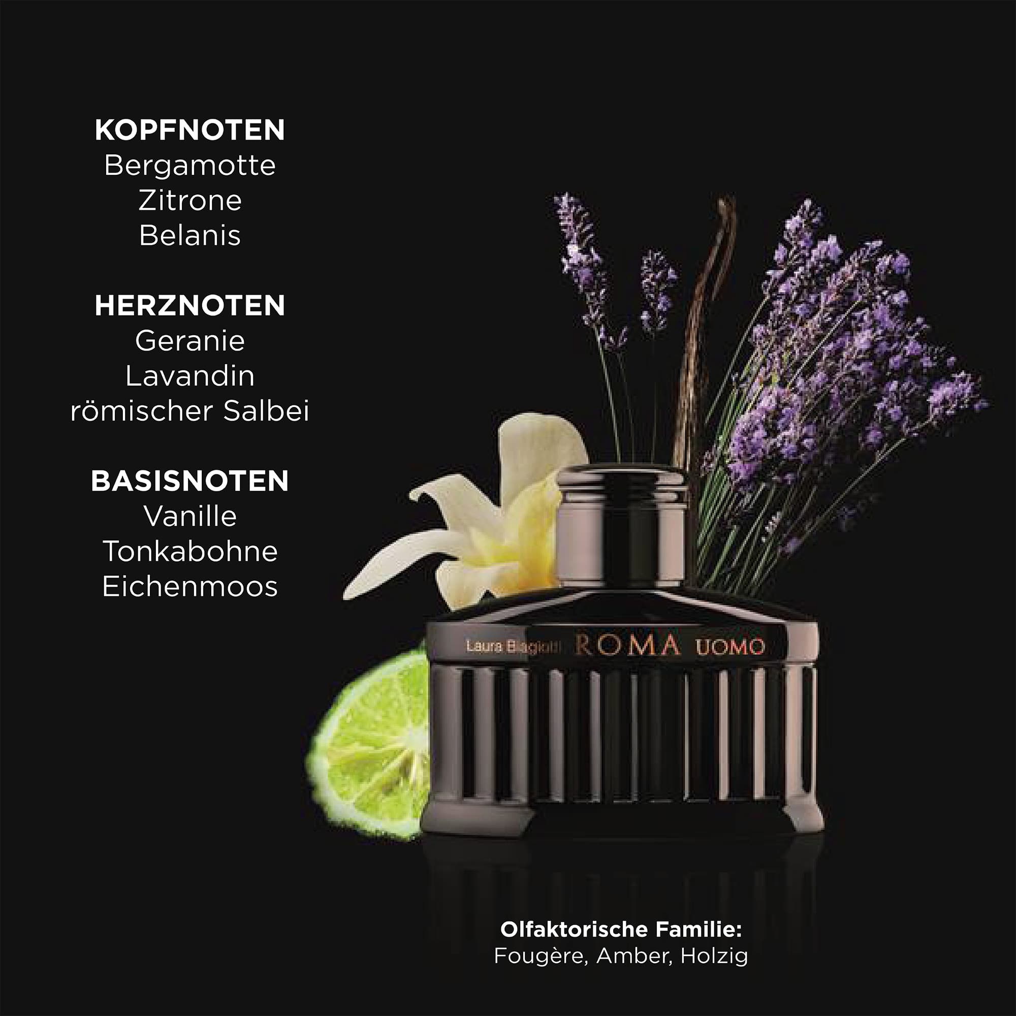 Produktbild Laura Biagiotti Roma Uomo Nero Estremo Eau de Parfum Intense 5 von 5