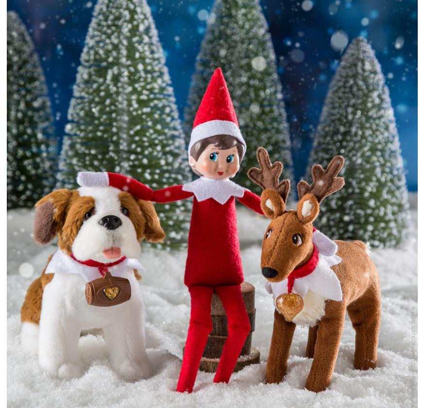 Produktbild HCM Kinzel The Elf on the Shelf® - Box Set Mädchen 13 von 13