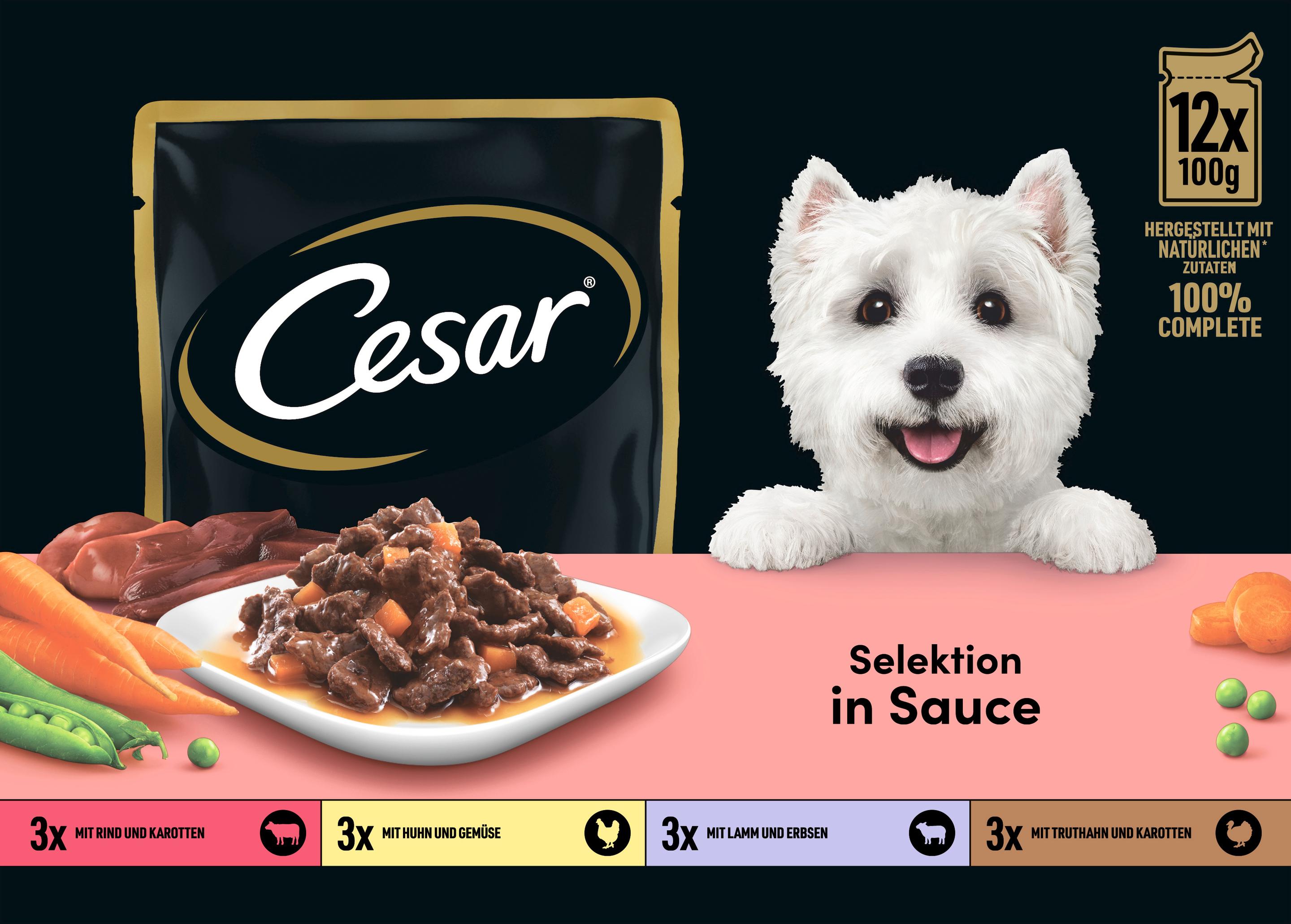 CESAR® Portionsbeutel Multipack Selektion in Sauce 4 Varietäten 12 x 100g