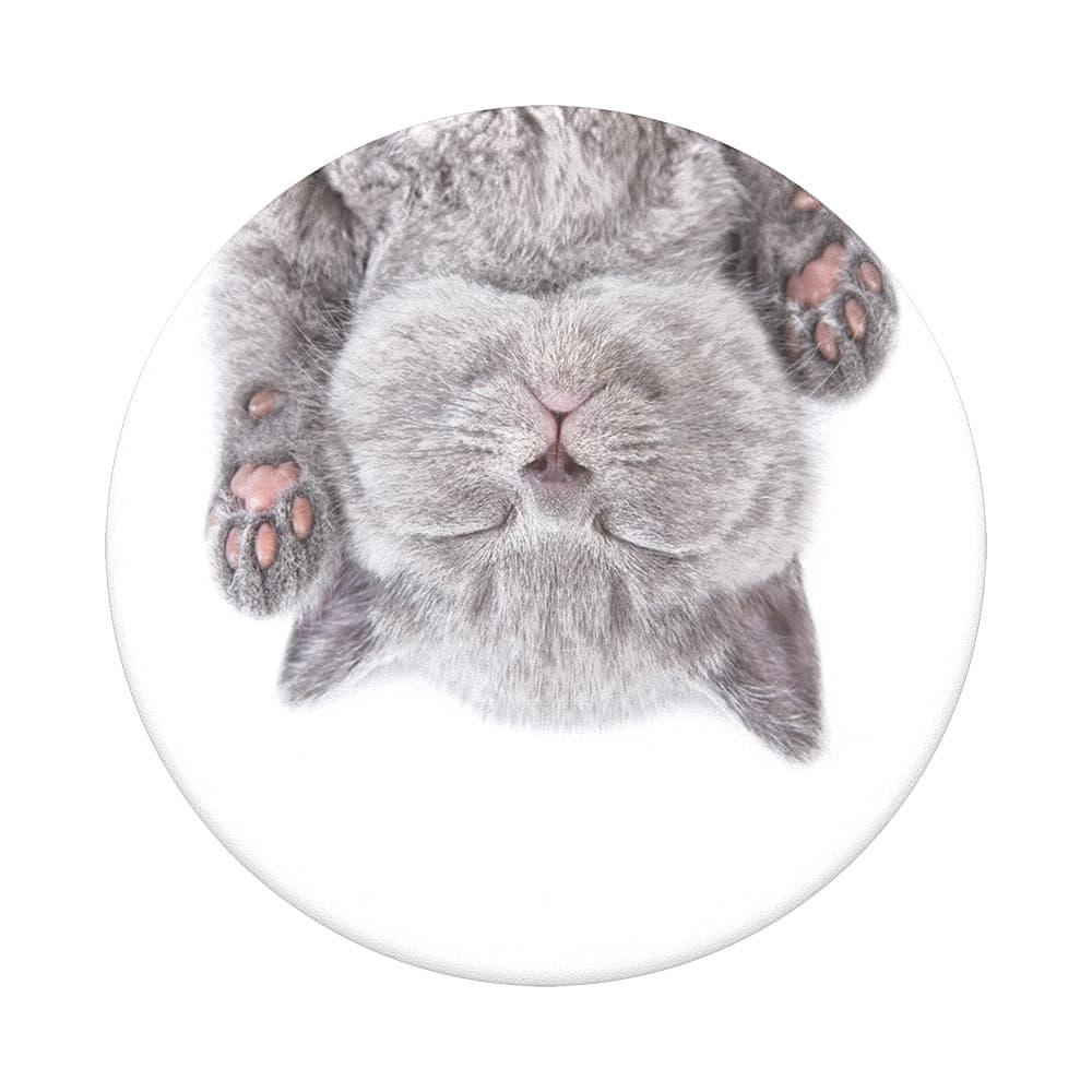 PopSockets PopGrip Cat Nap