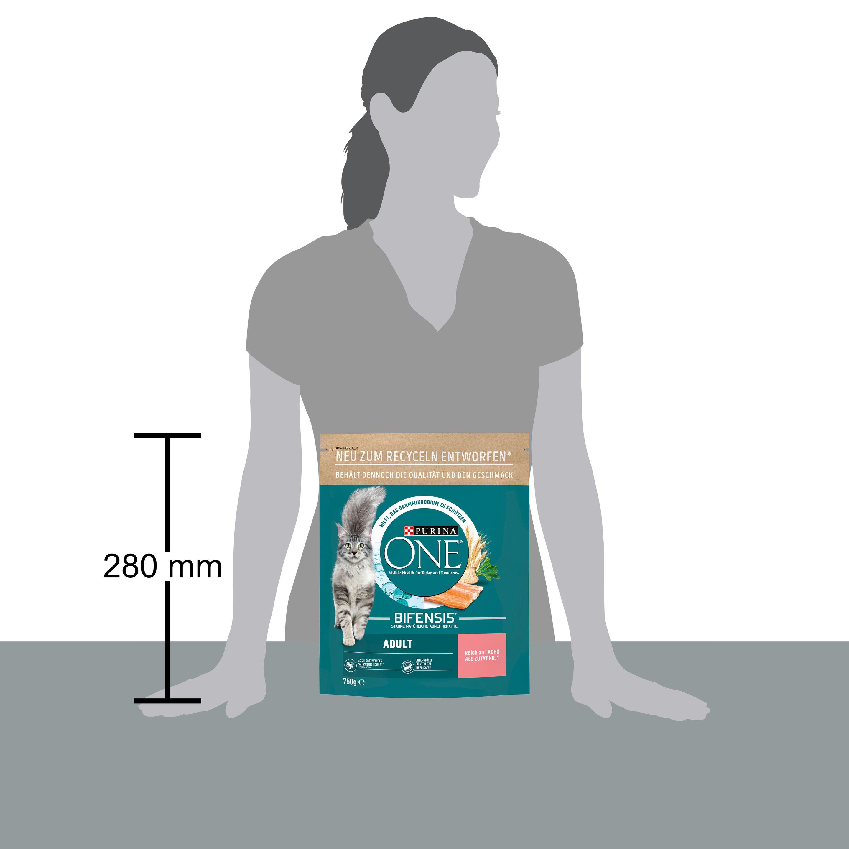 Produktbild PURINA ONE ADULT reich an Lachs und Vollkorn-Getreide 5 von 5