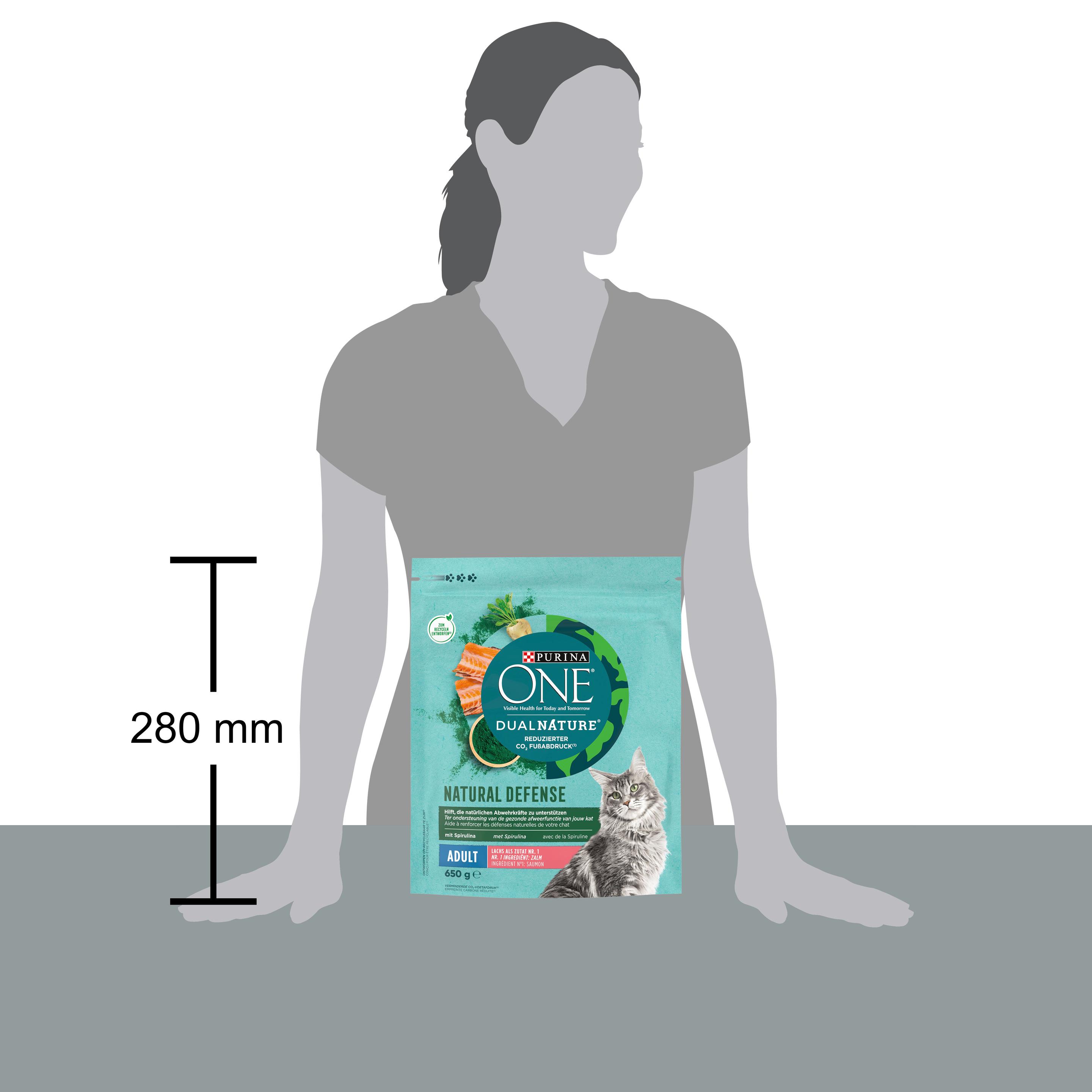 Produktbild PURINA ONE Dual Nature Adult Lachs 3 von 3