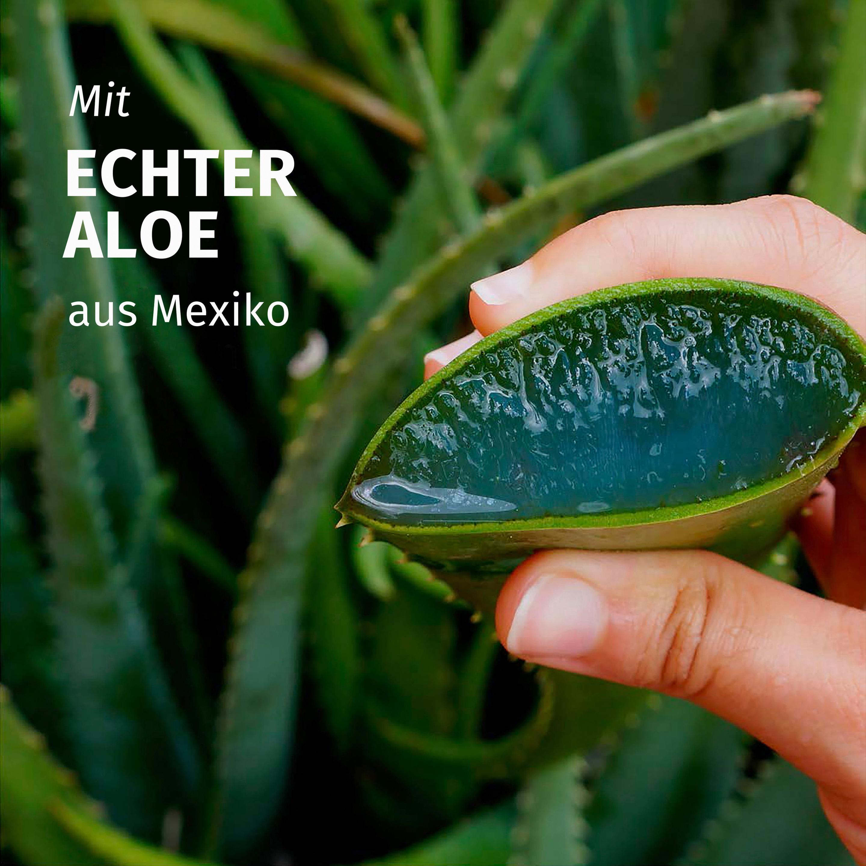 Produktbild Herbal Essences Feuchtigkeit Aloe Vera Pflegespülung 4 von 7