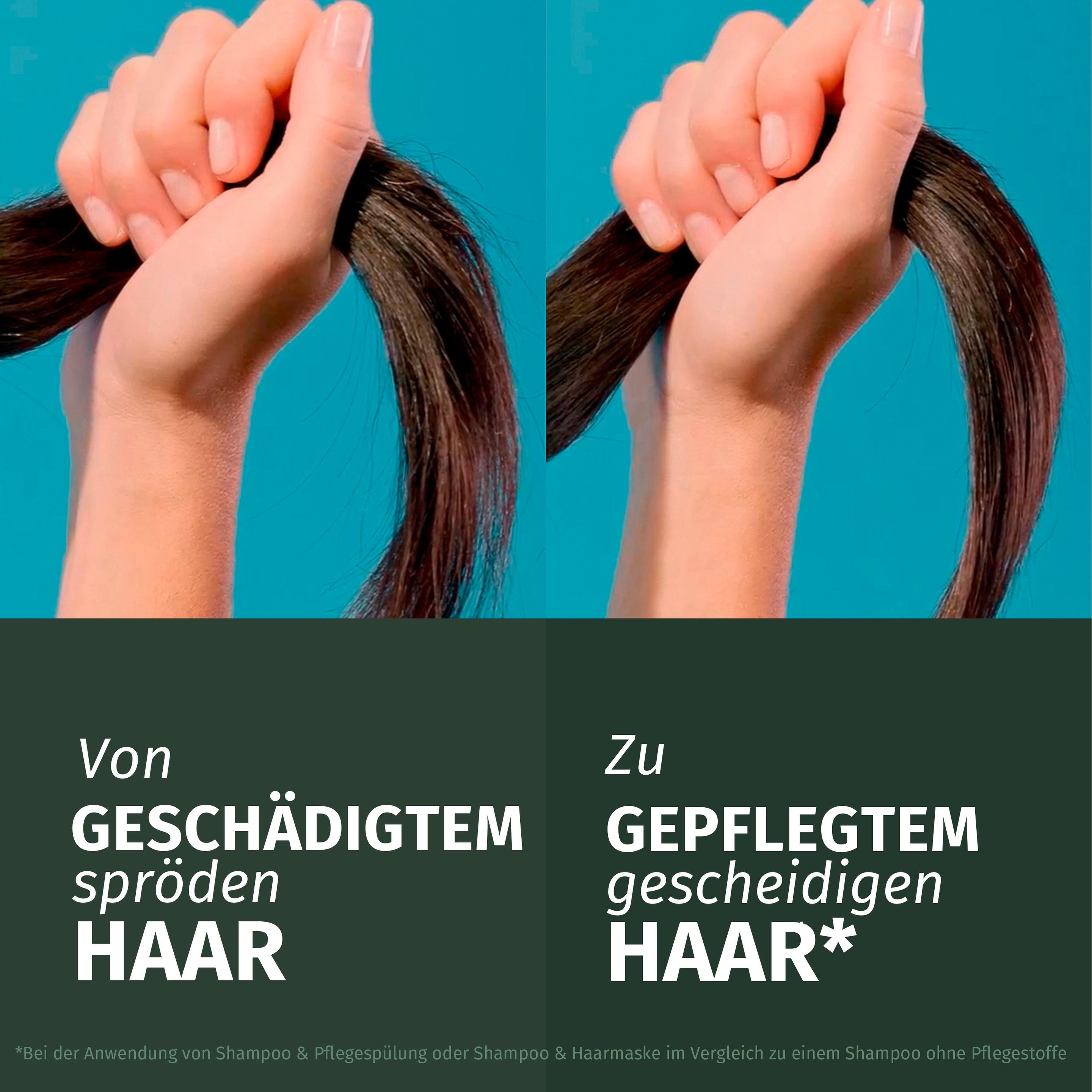 Produktbild Herbal Essences Repair Arganöl Pflegespülung 4 von 7