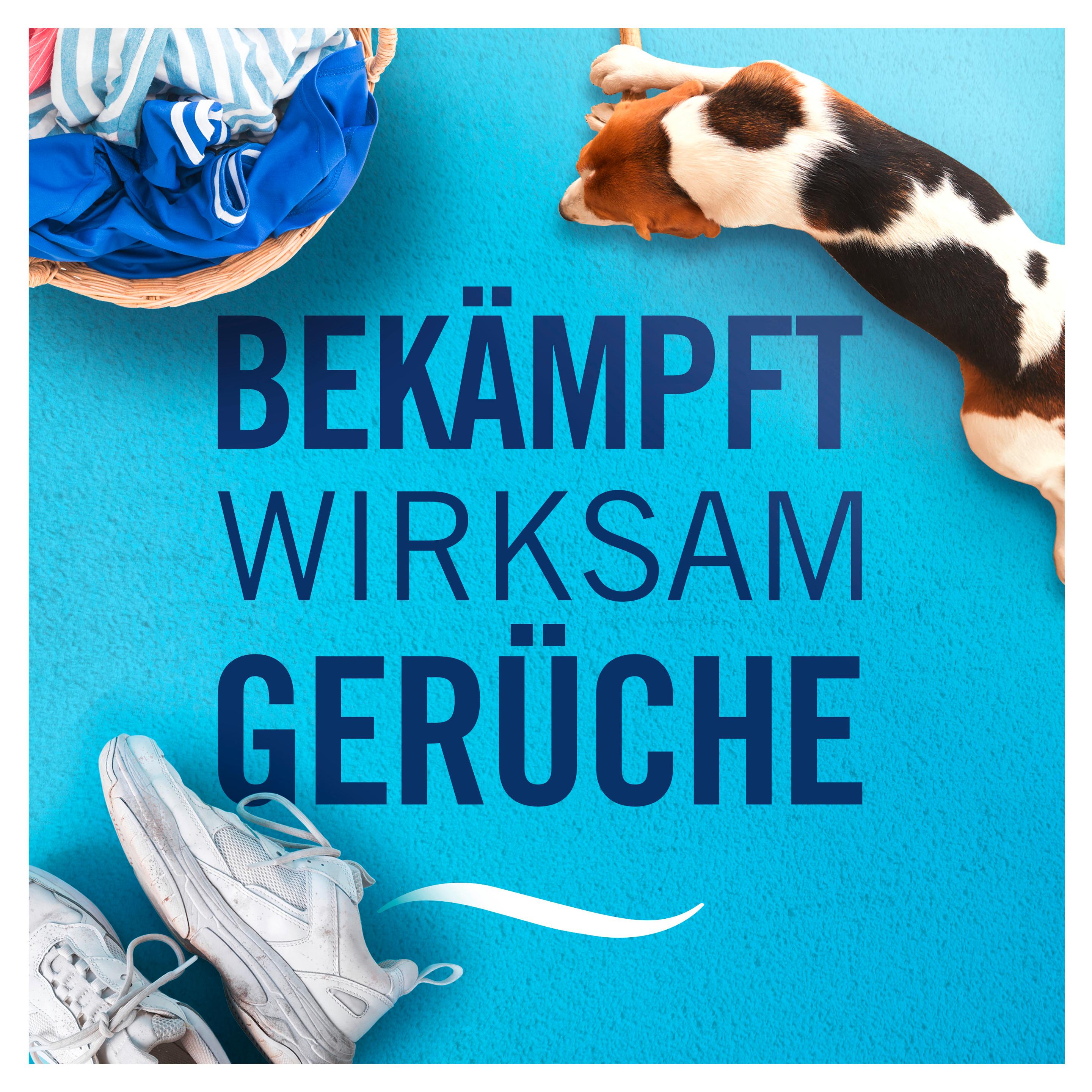 Produktbild Febreze 3volution Duftstecker Nachfüllflakon Amethyst Blütentraum 6 von 7