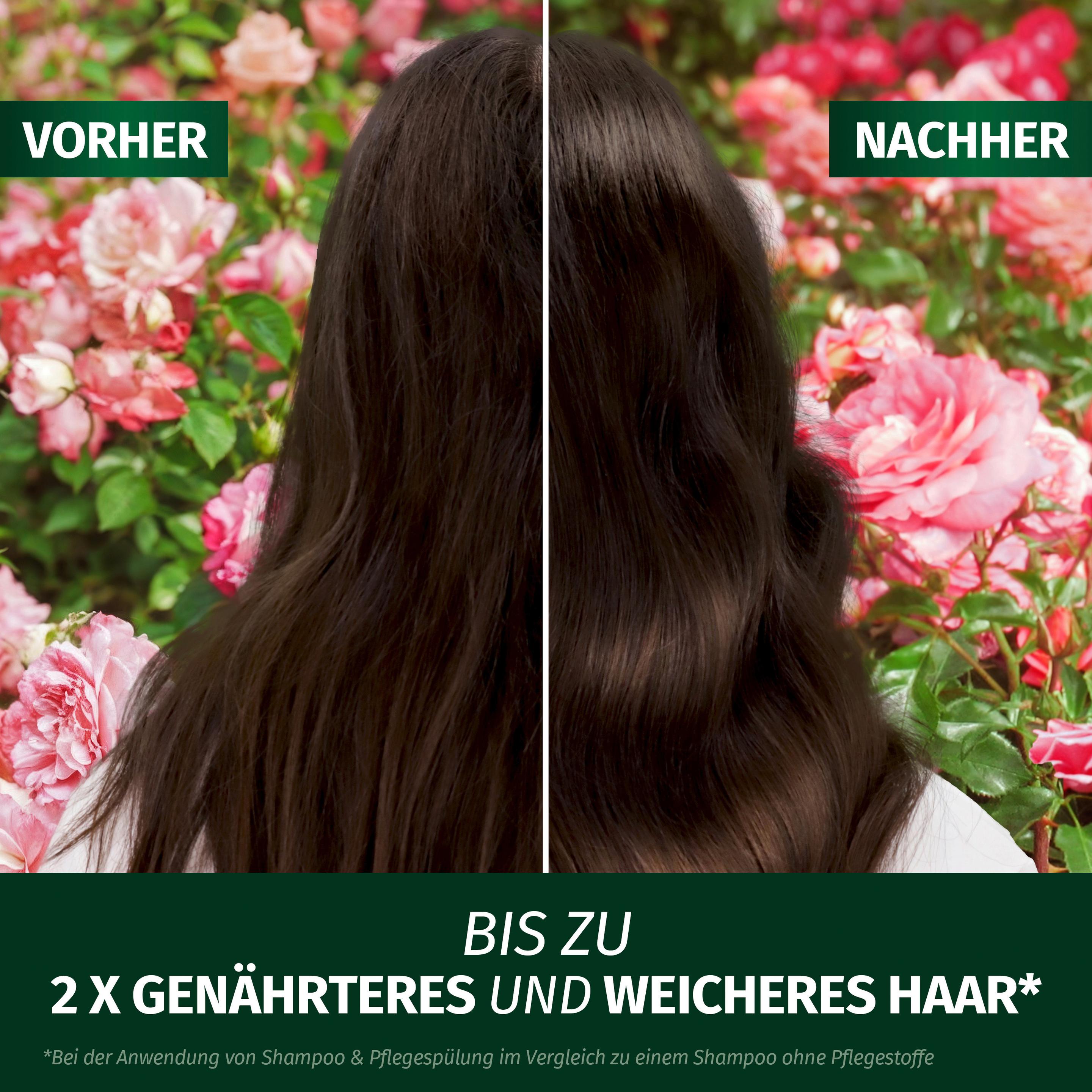Produktbild Herbal Essences Leave-In Spray Blütensanft Rosenduft 7 von 8